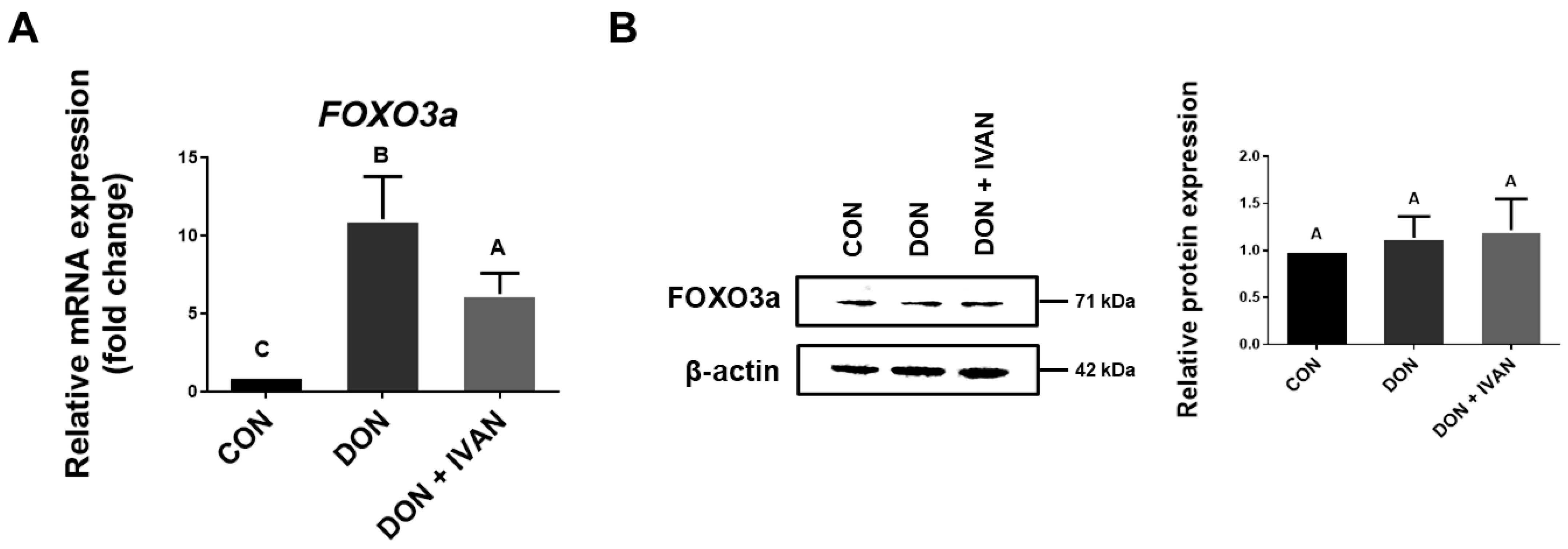 Toxins 17 00174 g003