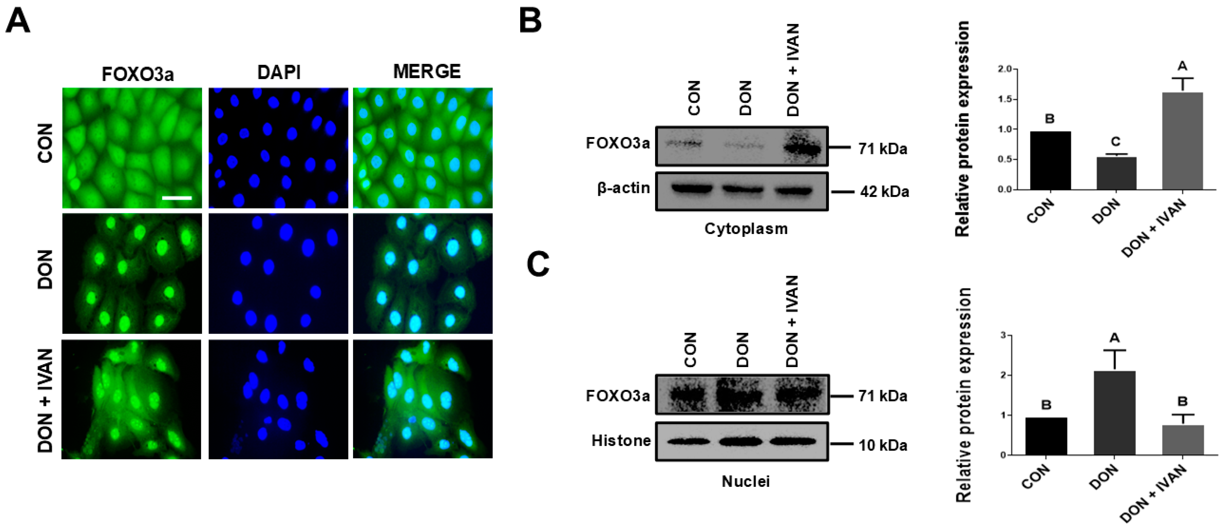 Toxins 17 00174 g004