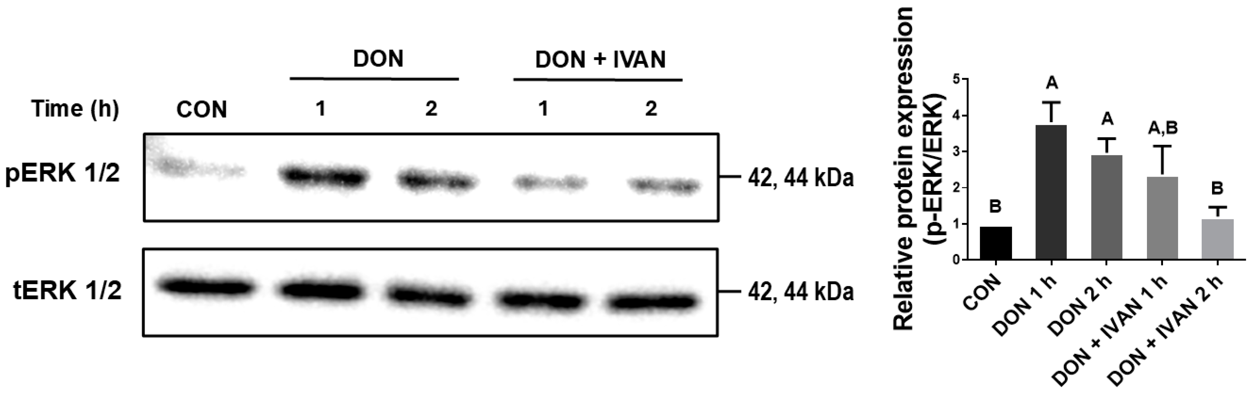 Toxins 17 00174 g005