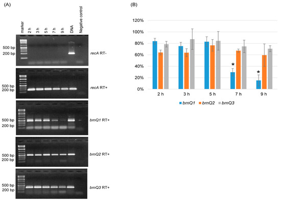 Toxins 17 00187 g001
