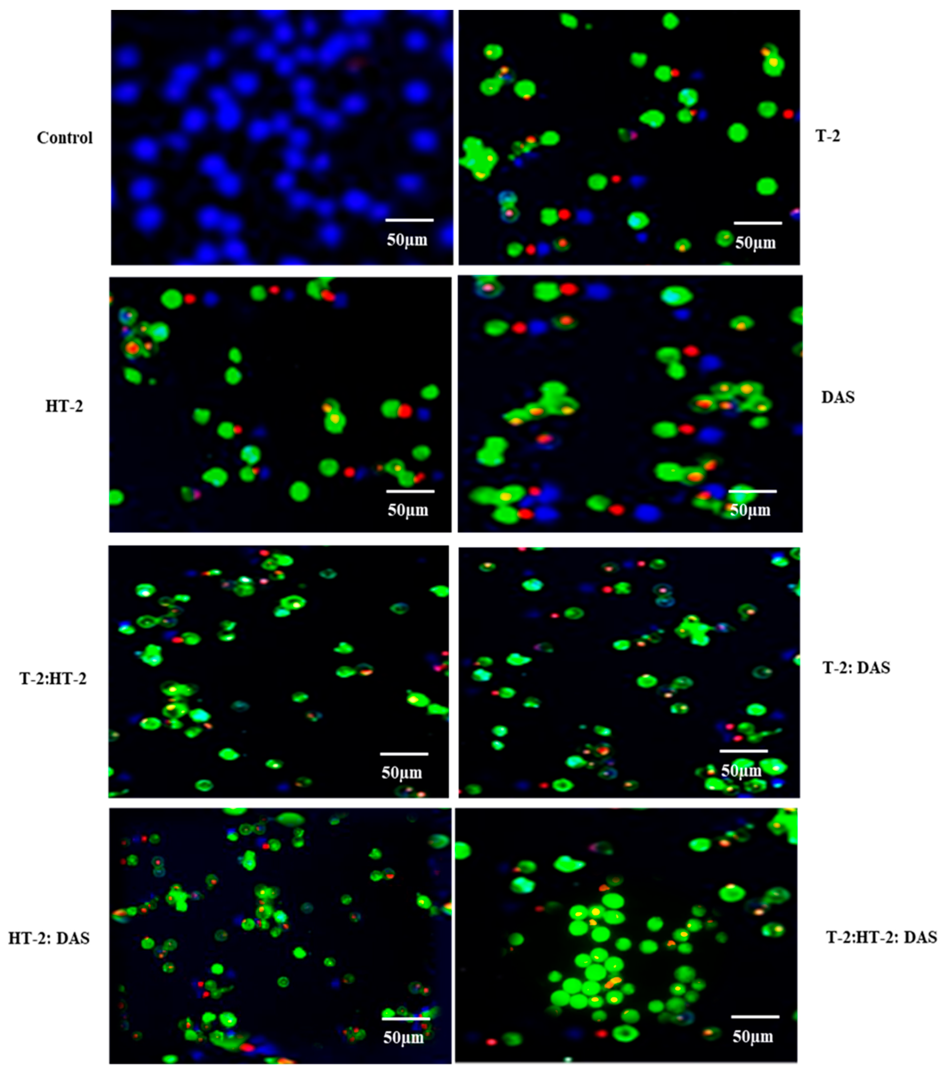 Toxins 17 00203 g005