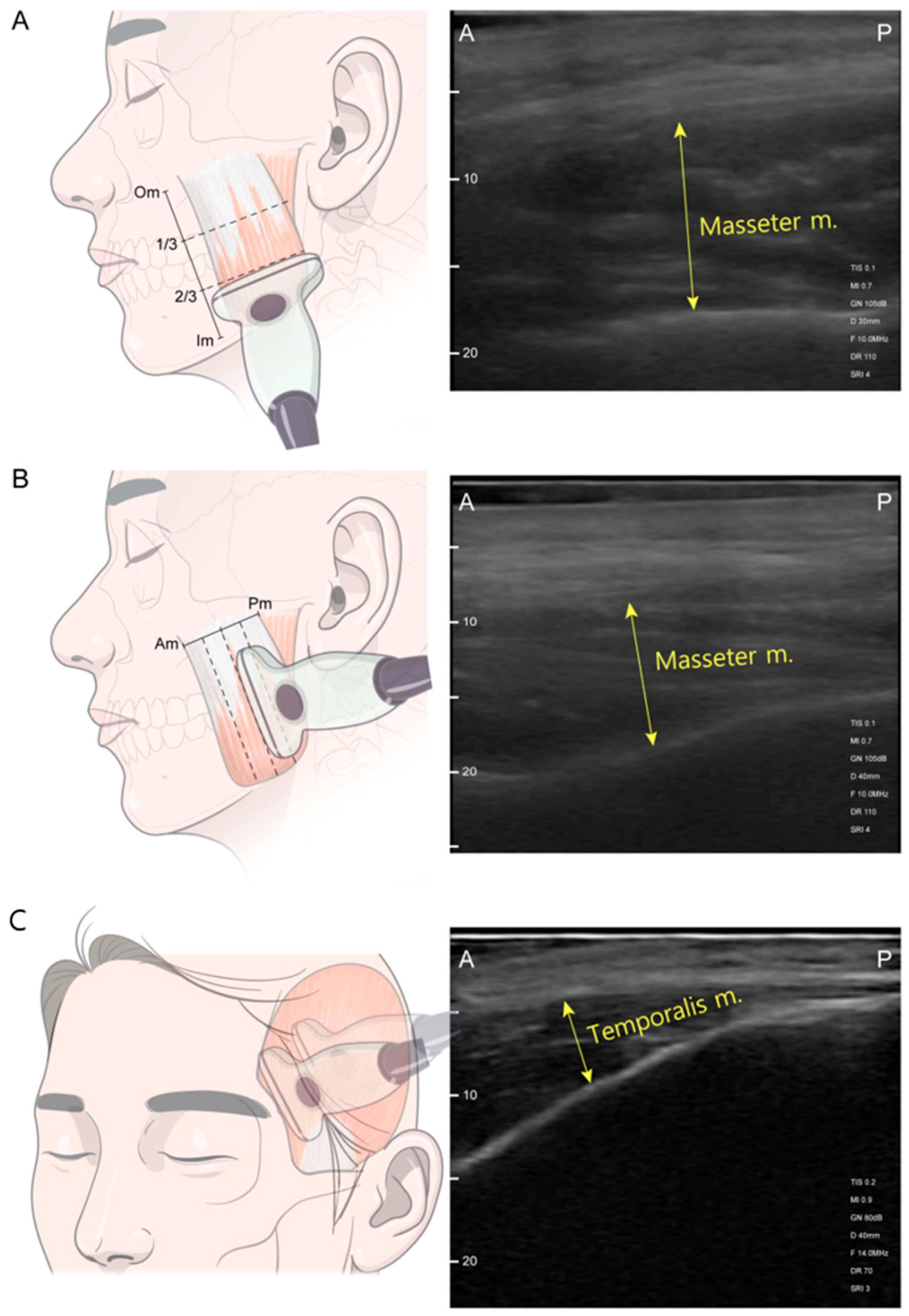Toxins 17 00220 g006
