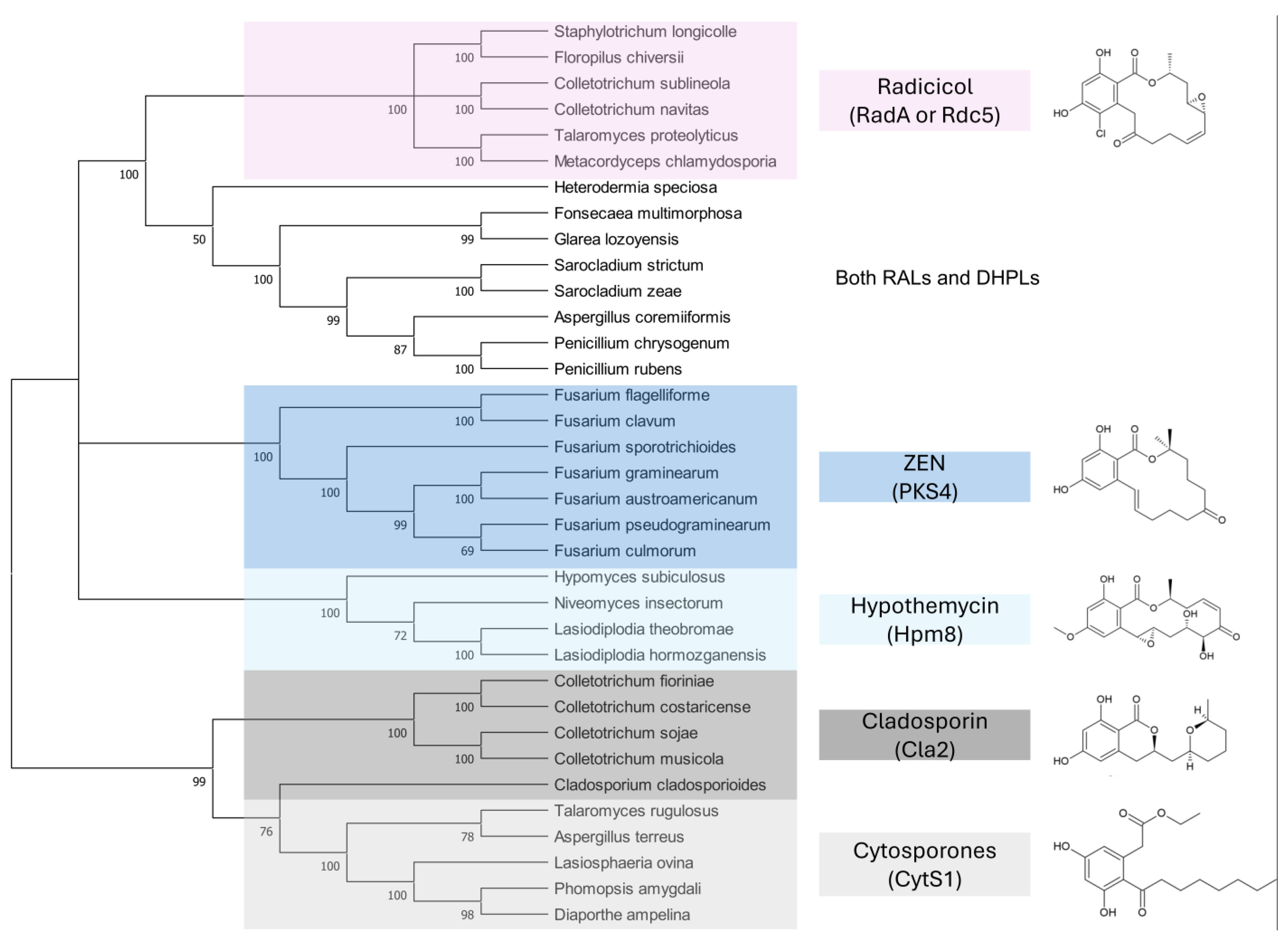 Toxins 17 00226 g007