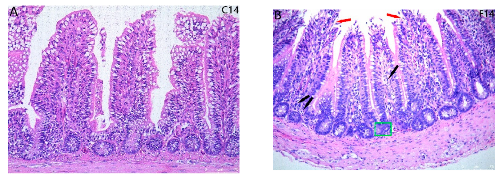 Toxins 17 00239 g001a
