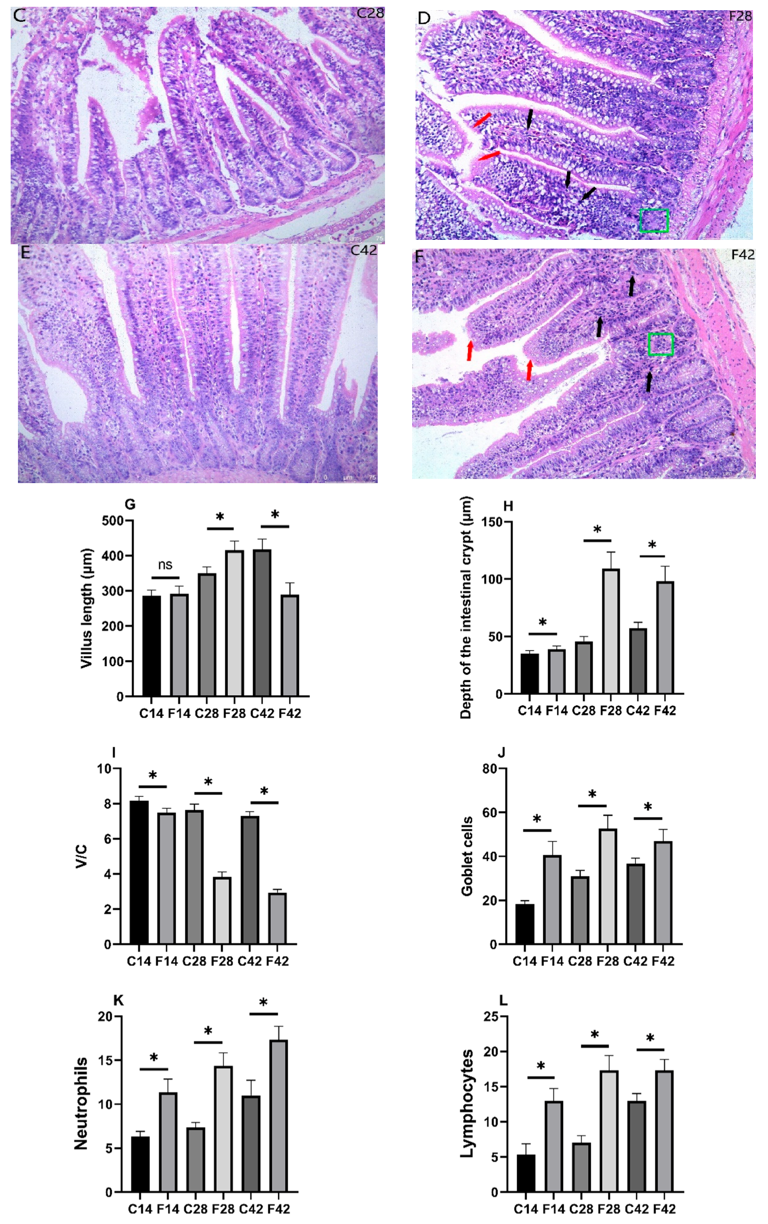 Toxins 17 00239 g001b