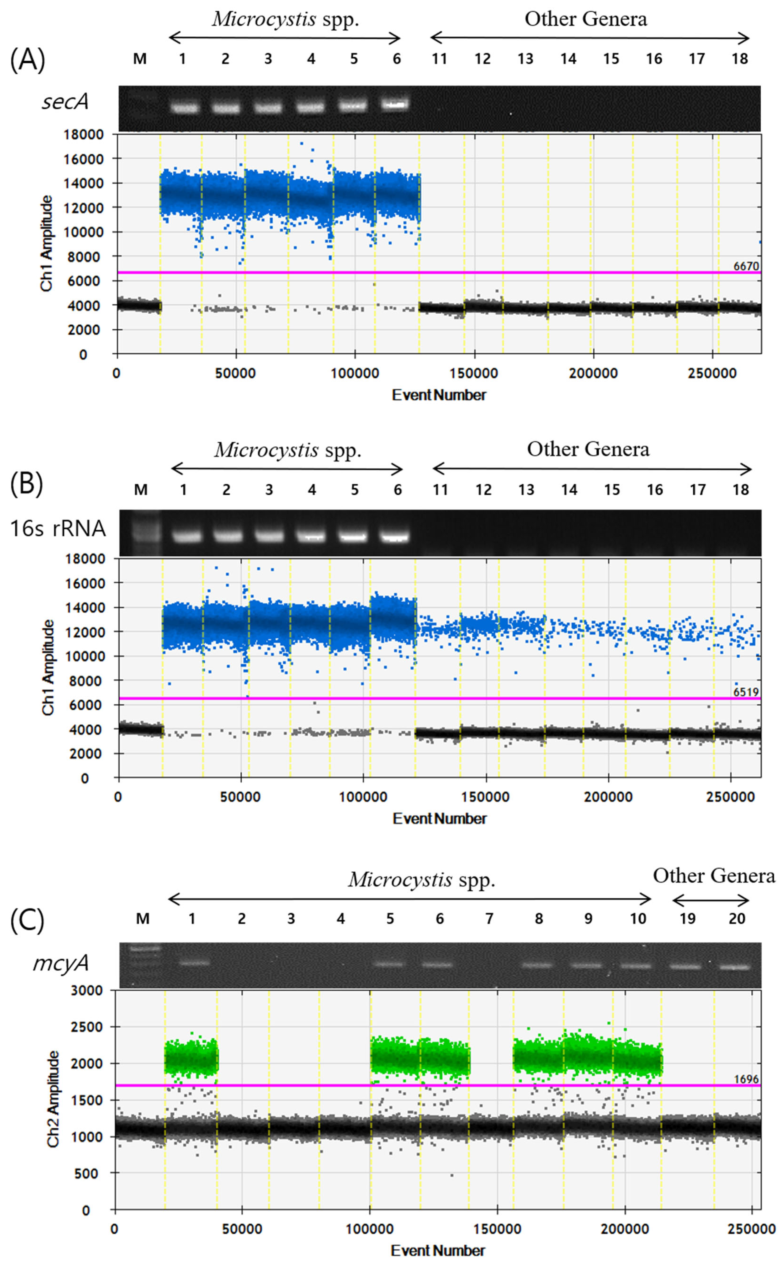 Toxins 17 00242 g001
