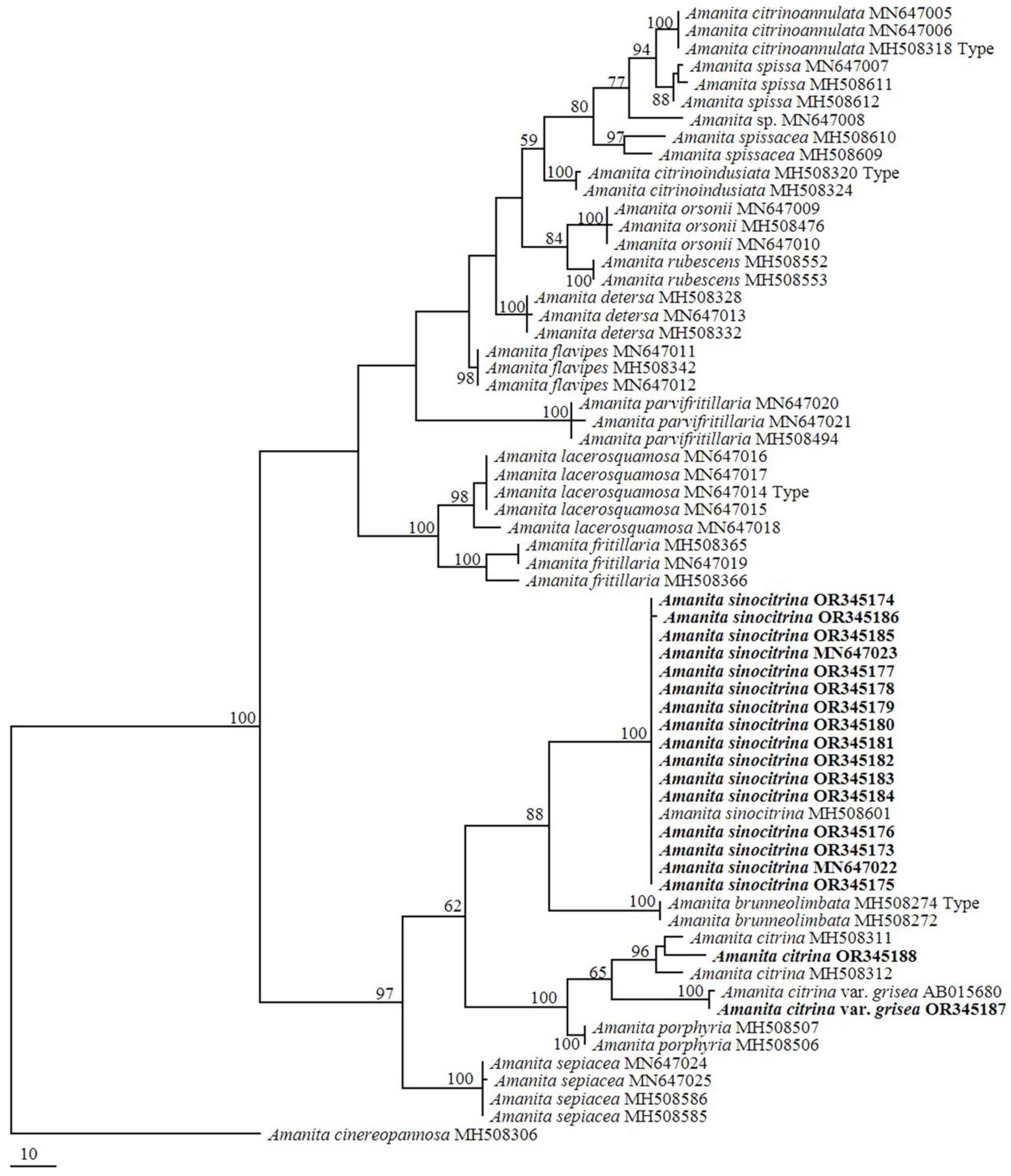 Toxins 17 00247 g002 Toxins 17 00247 g002
