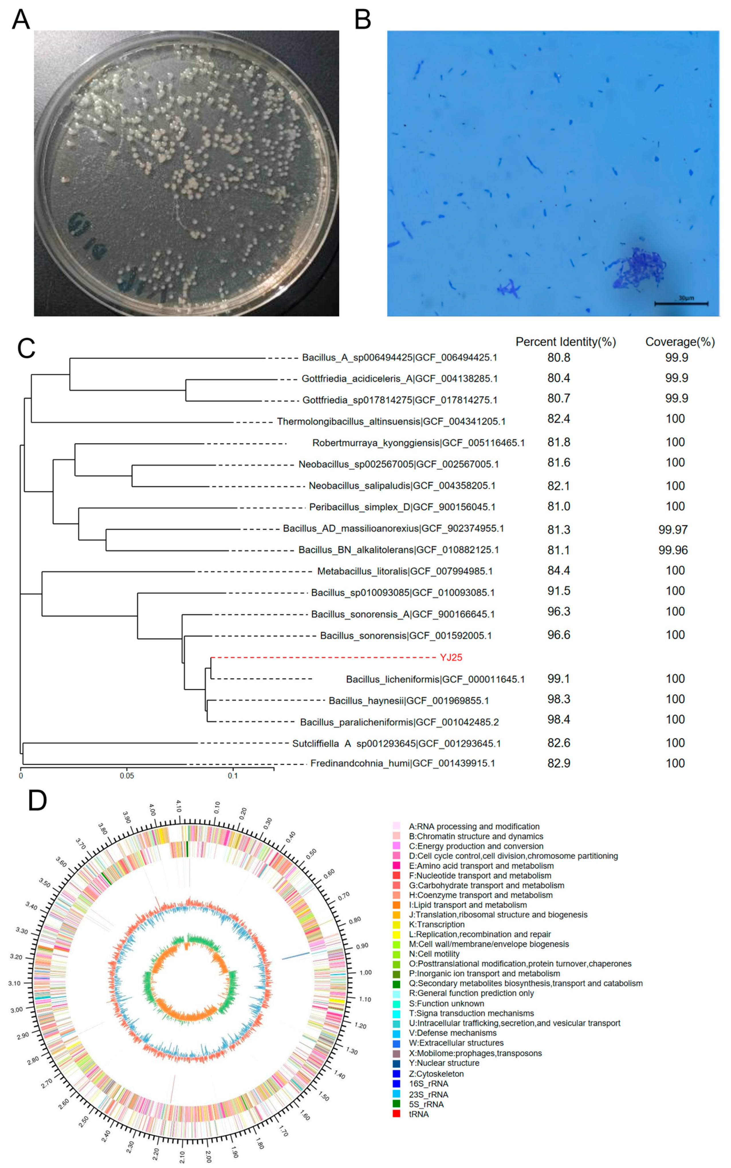 Toxins 17 00263 g002