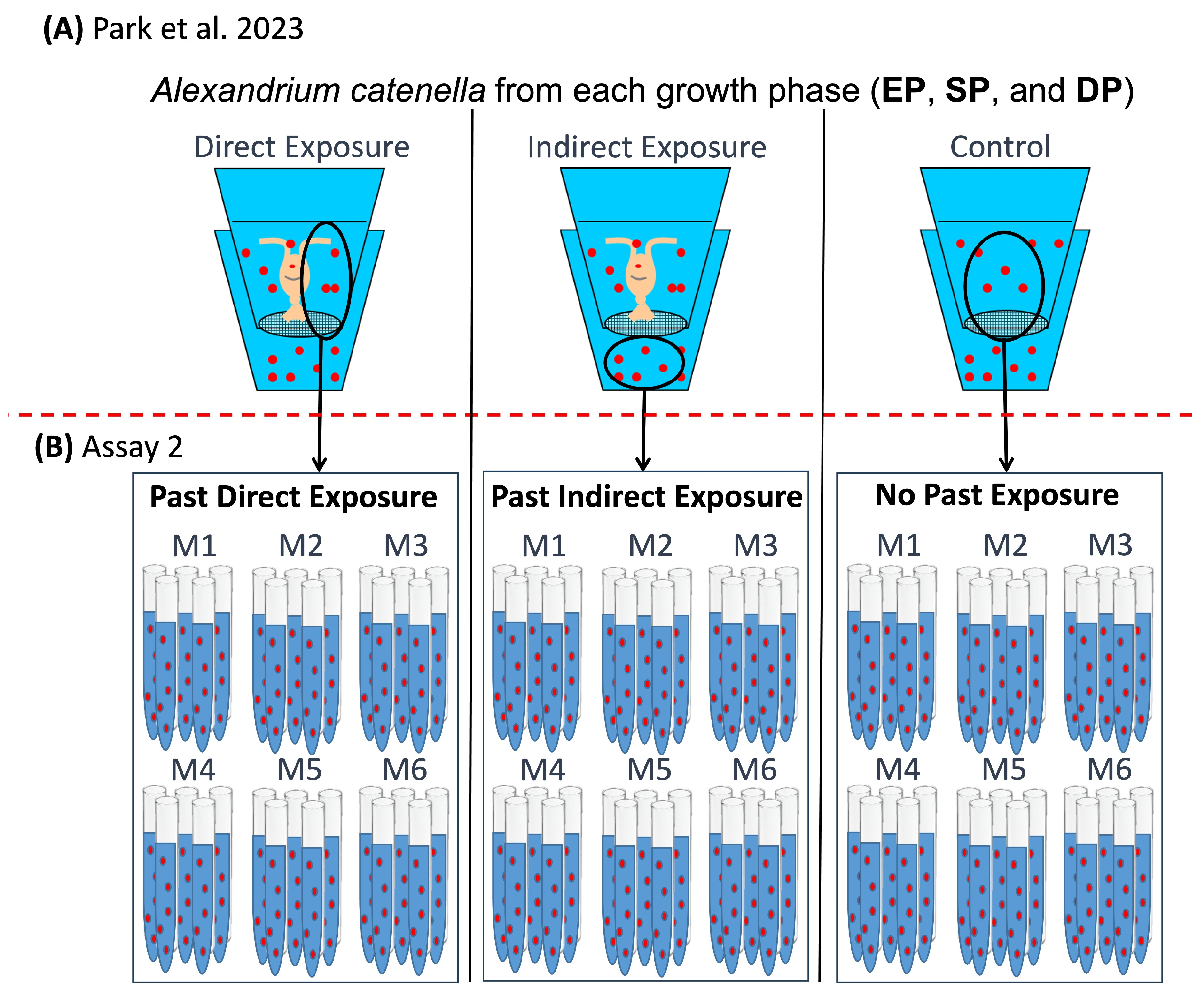 Toxins 17 00290 g006