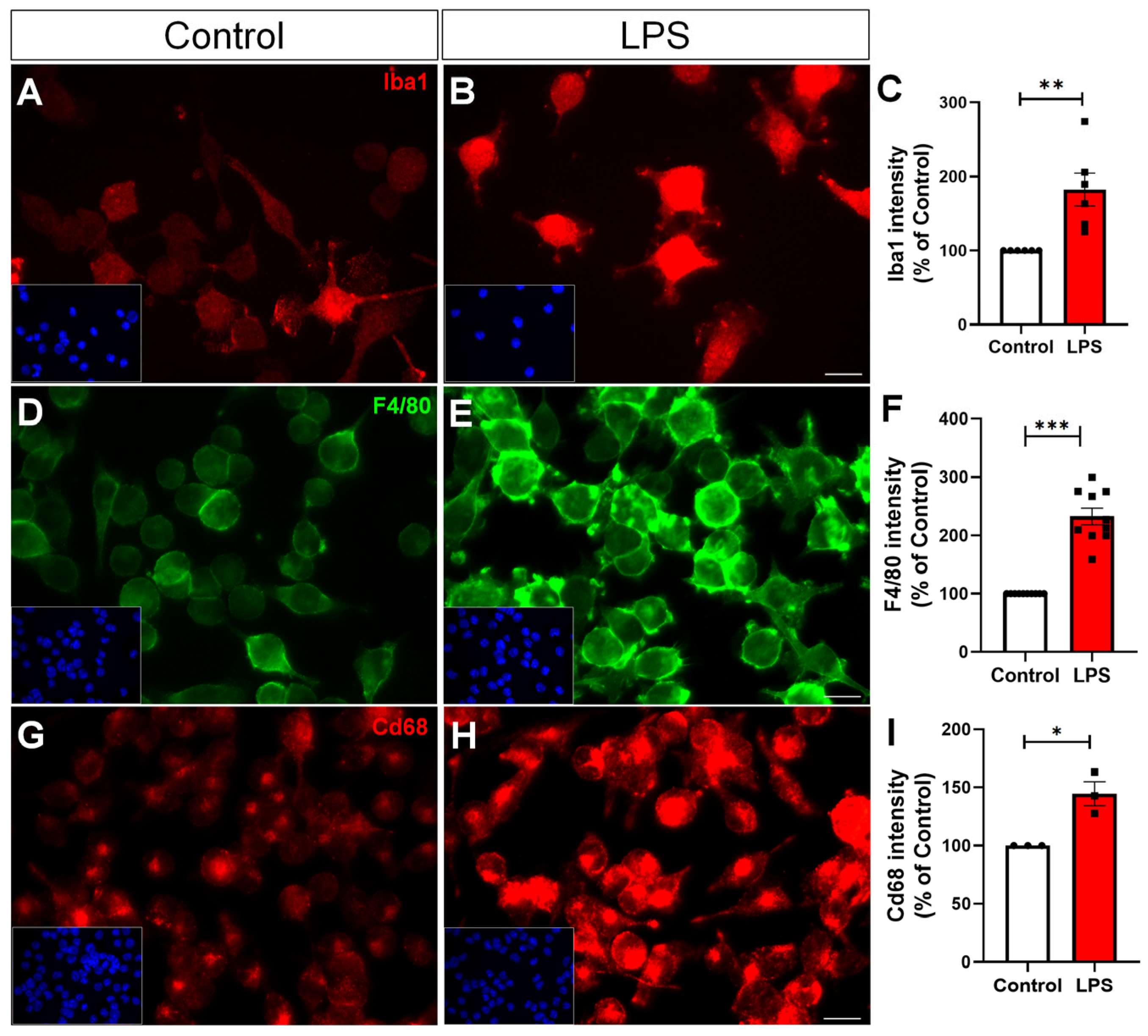 Toxins 17 00293 g001