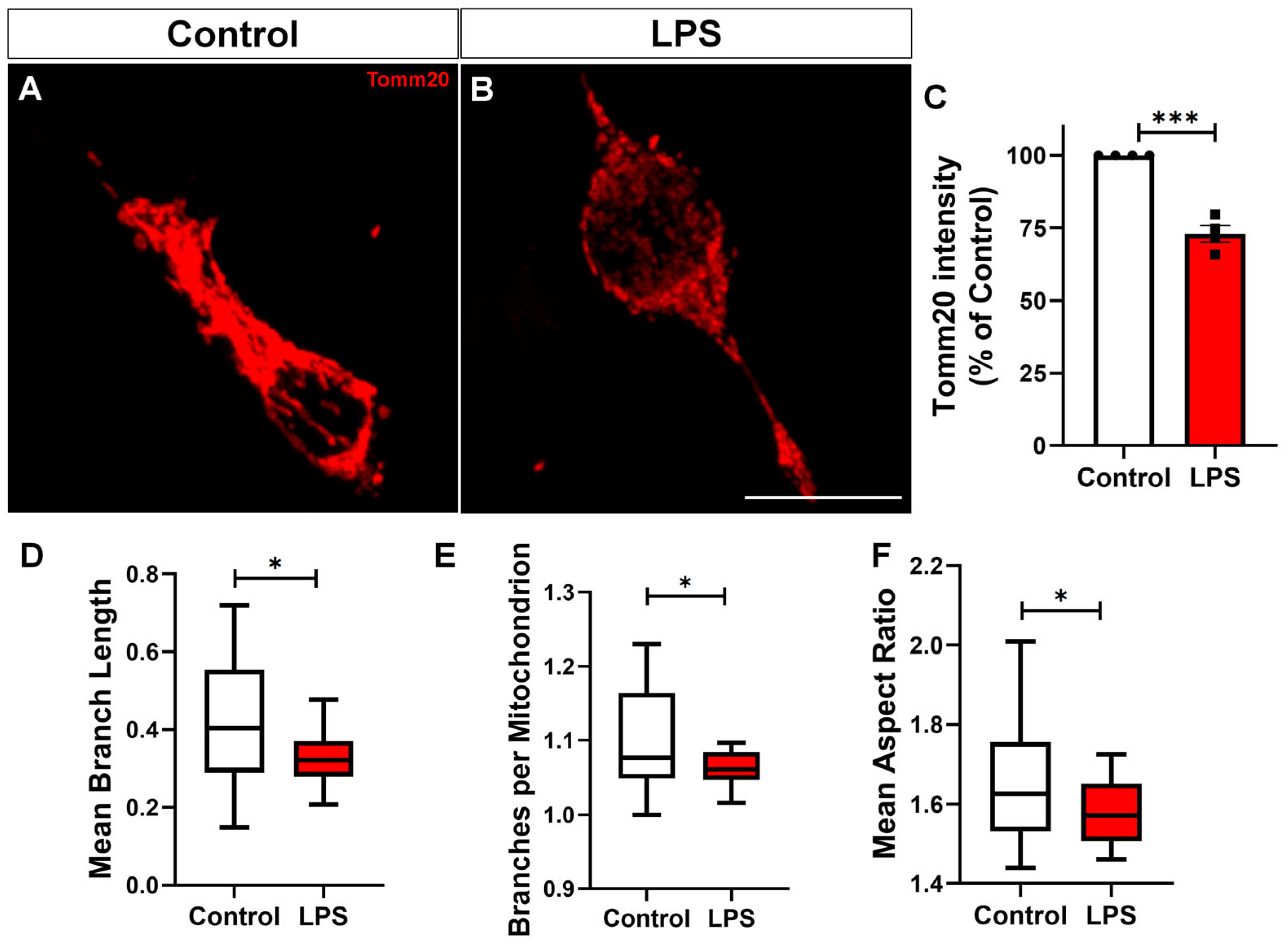 Toxins 17 00293 g004