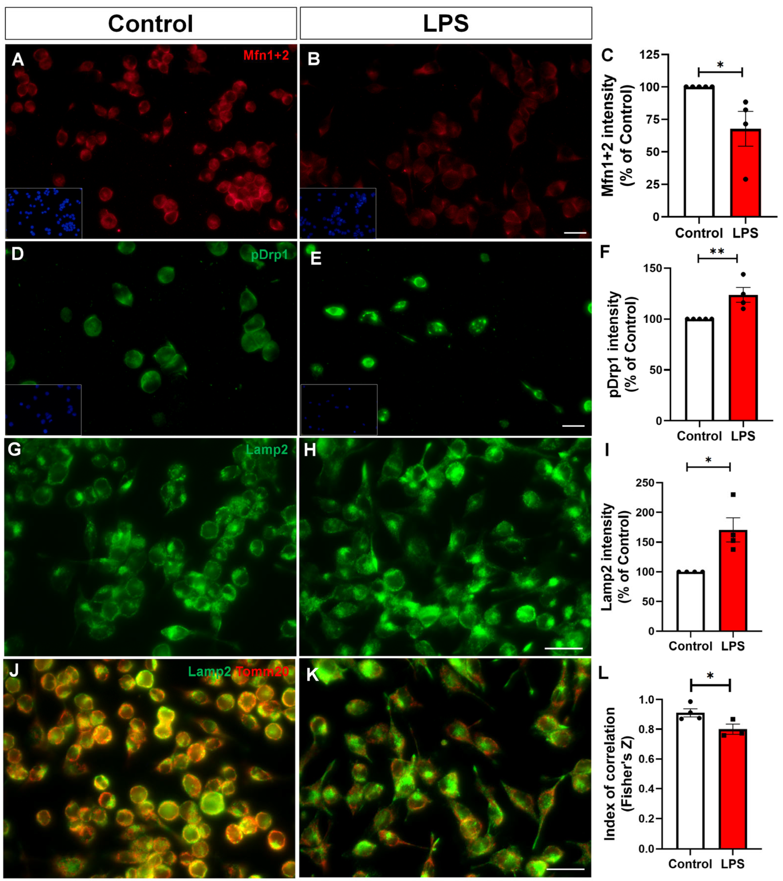 Toxins 17 00293 g005