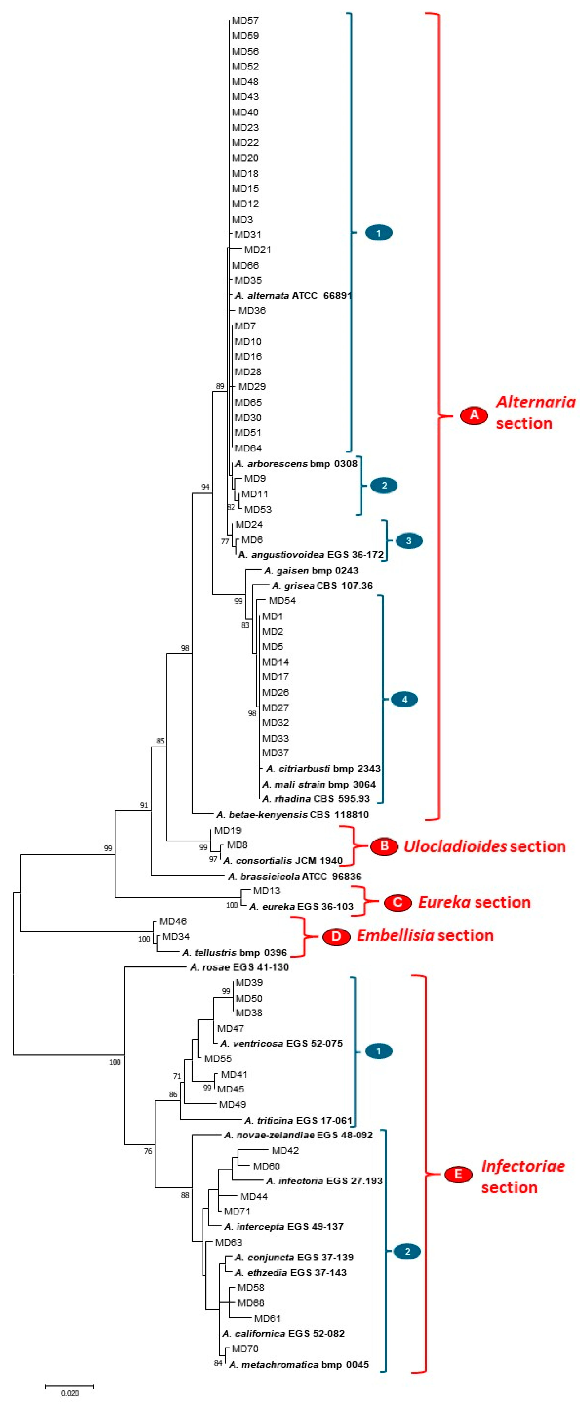 Toxins 17 00309 g004