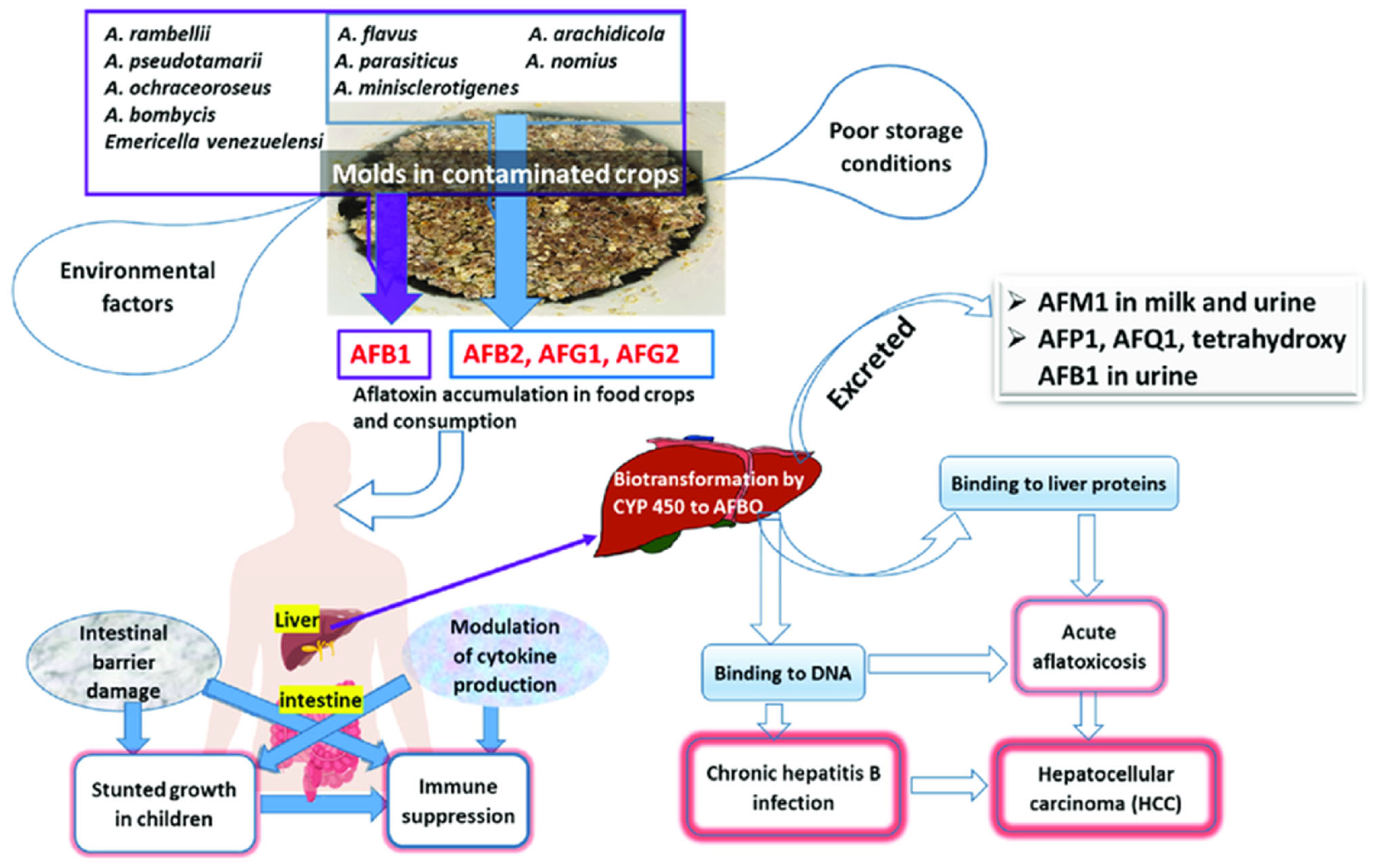Toxins 17 00331 g003