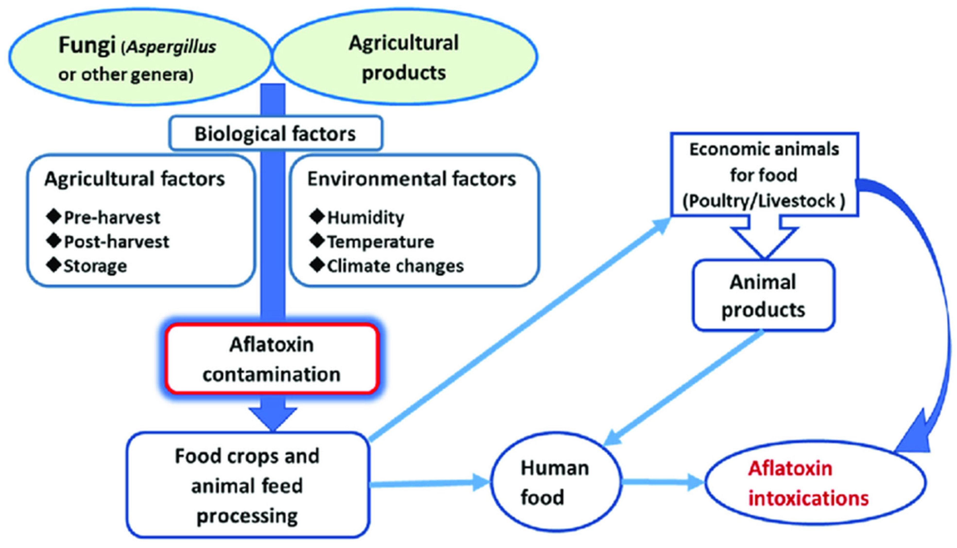 Toxins 17 00331 g004