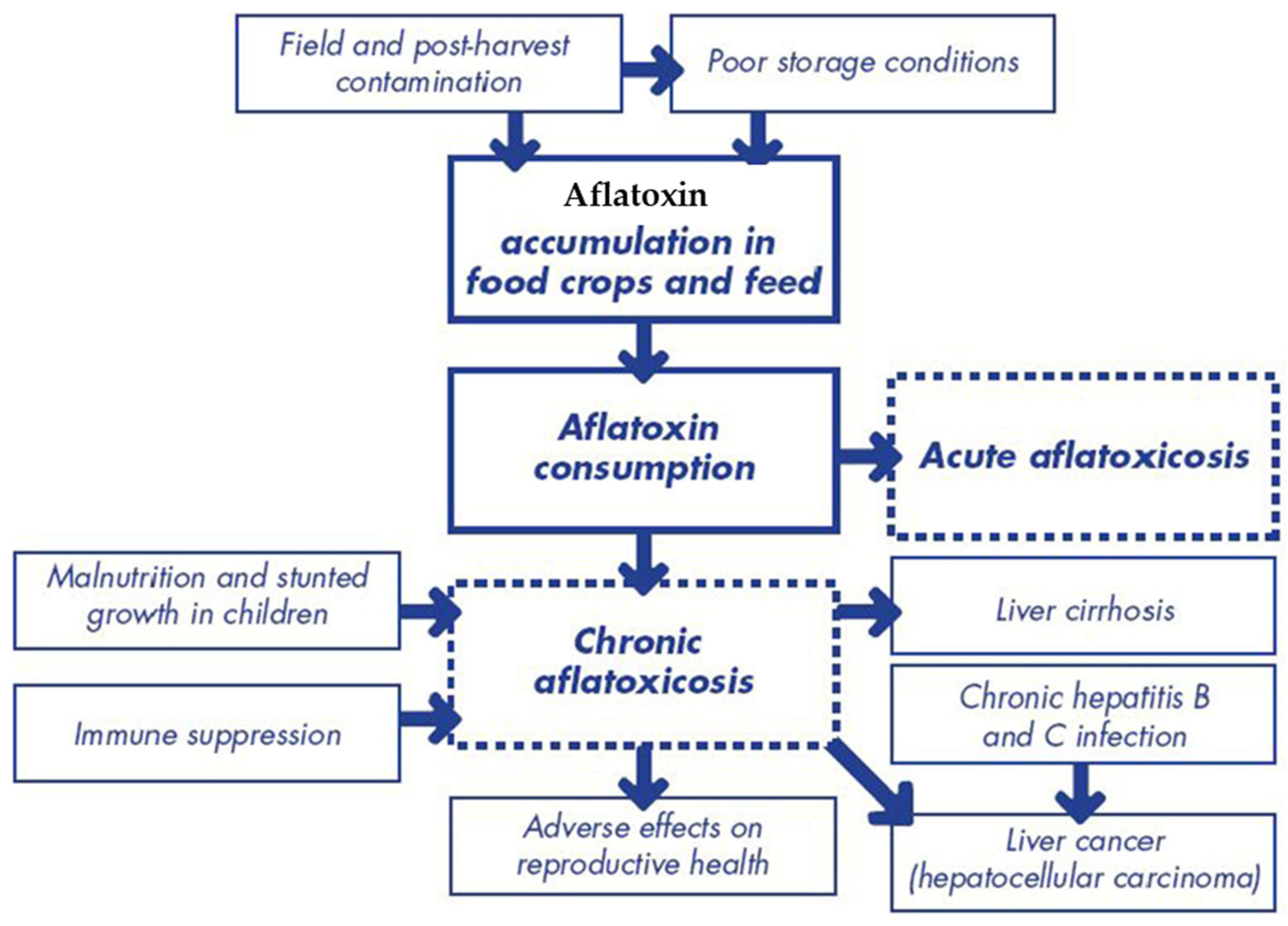 Toxins 17 00331 g007