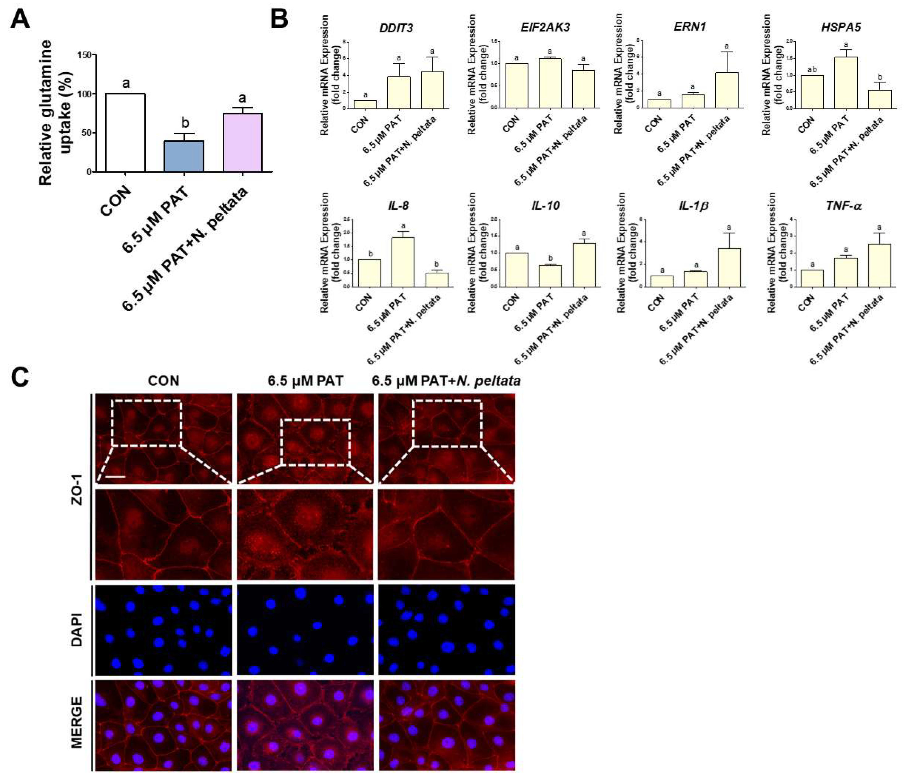 Toxins 17 00337 g007