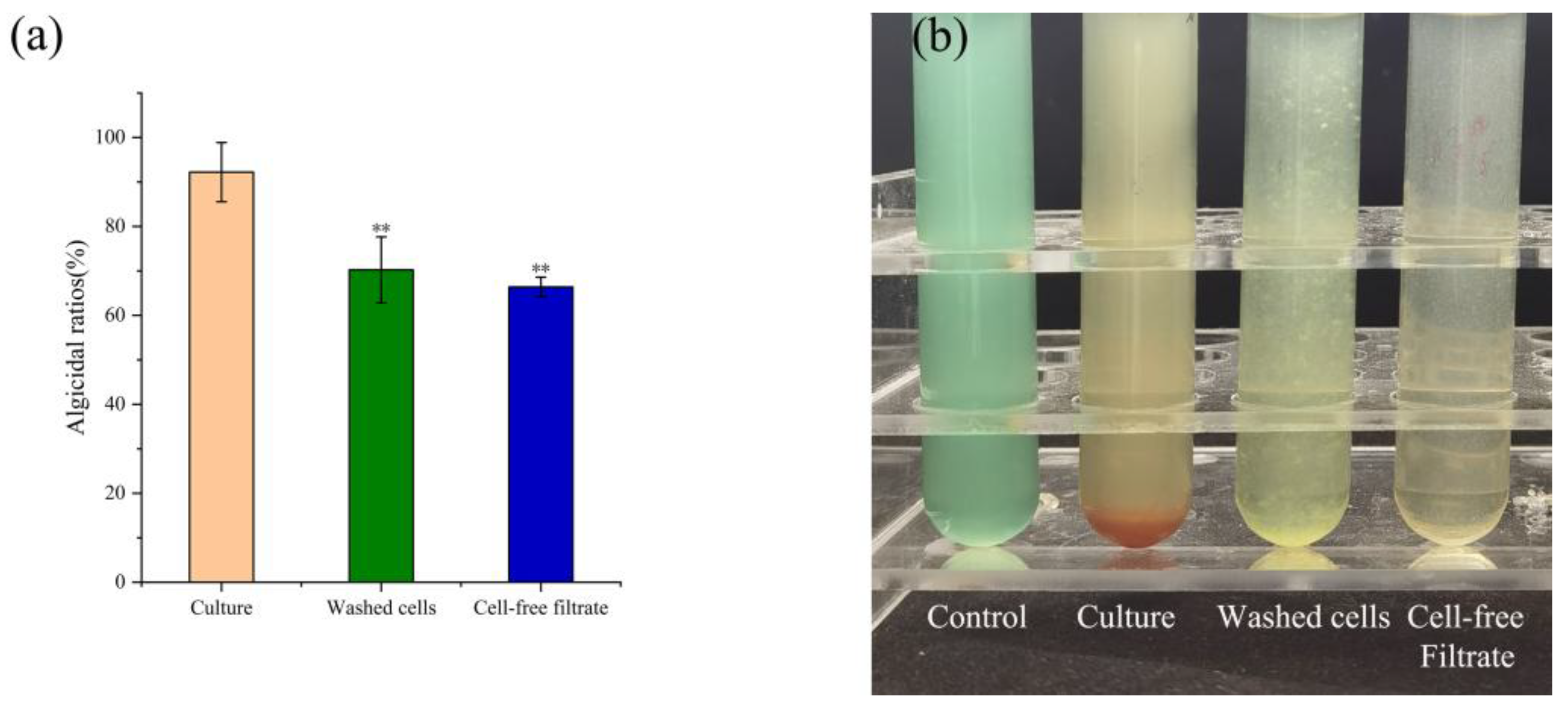 Toxins 17 00354 g004