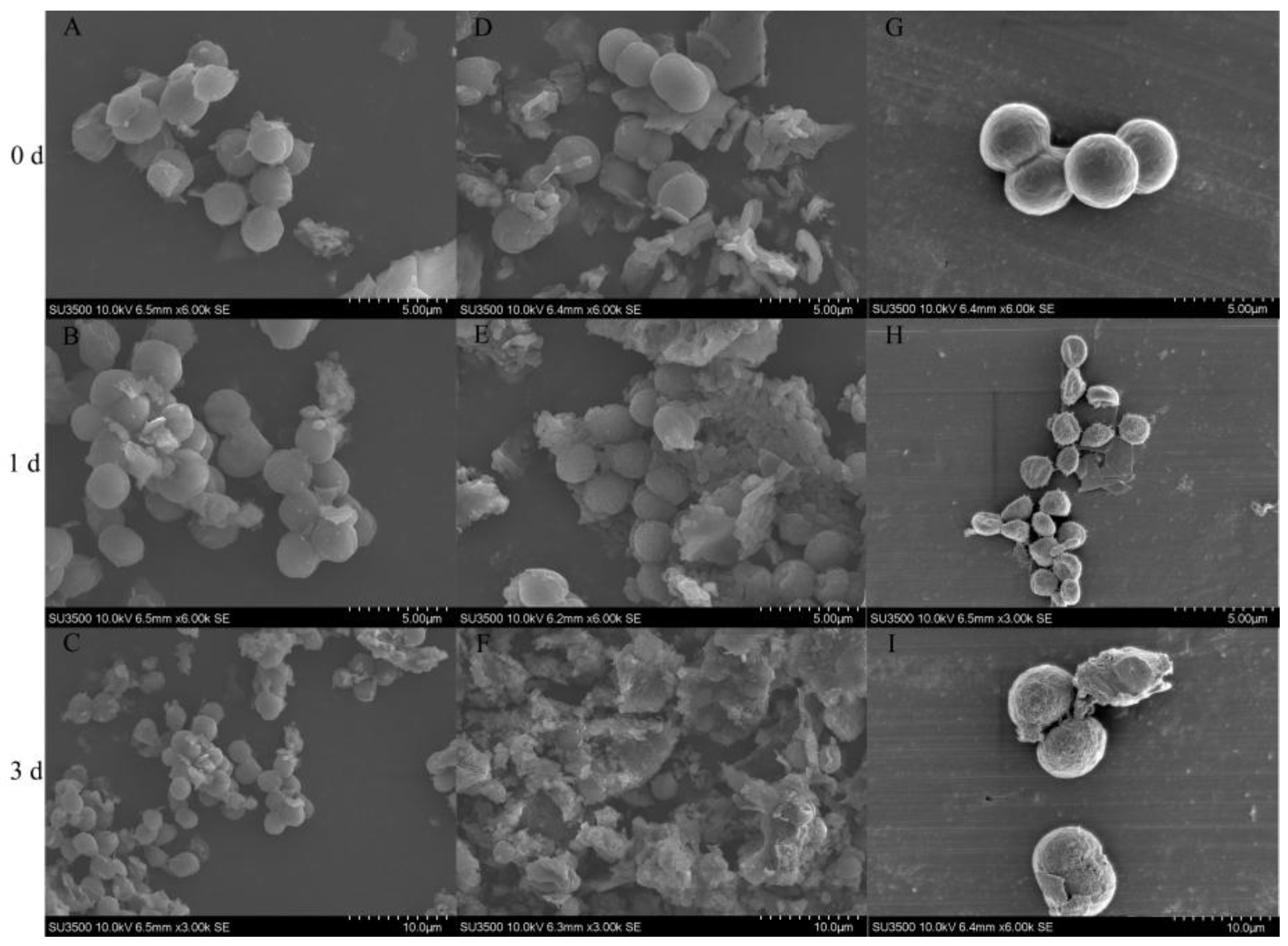 Toxins 17 00354 g007