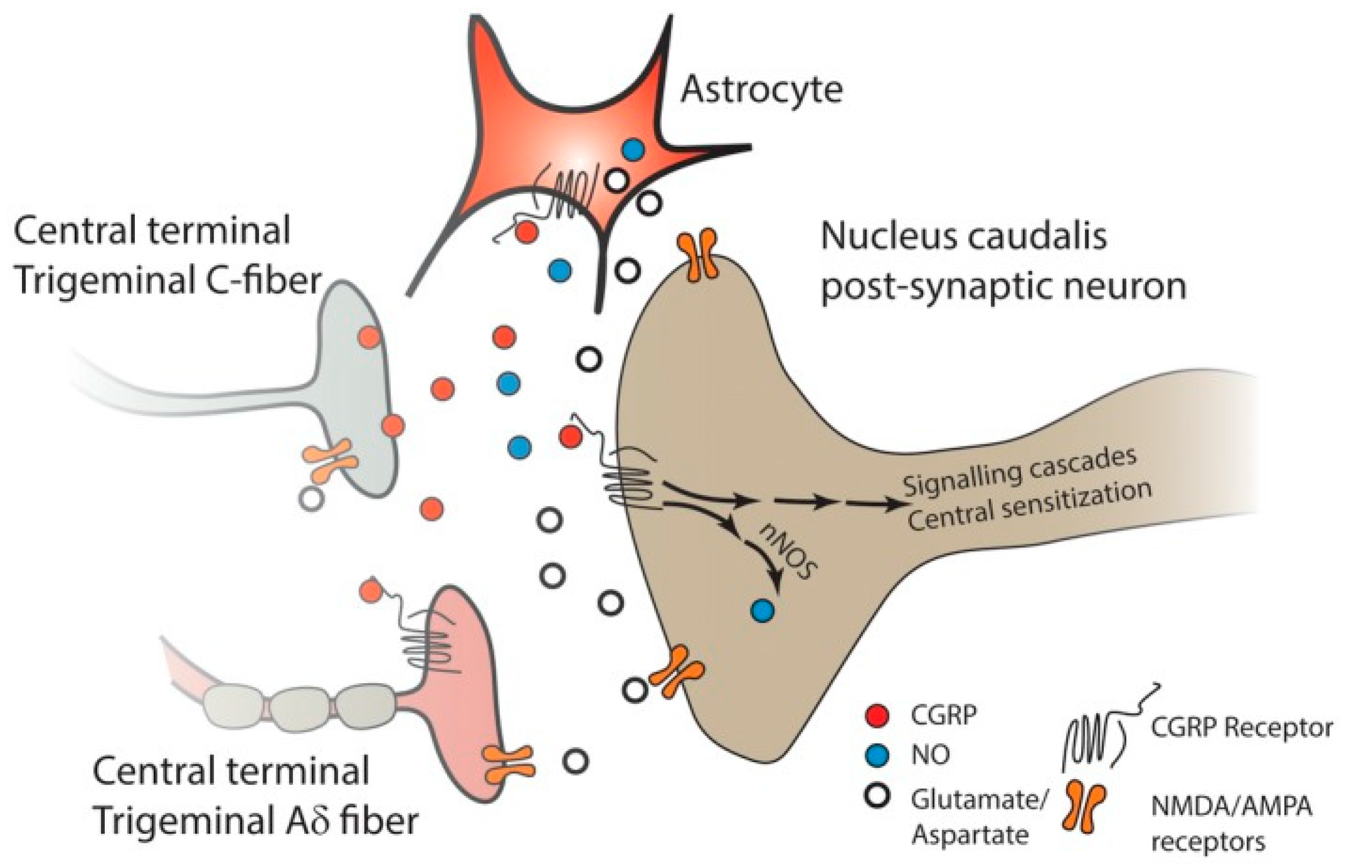 Toxins 17 00355 g001