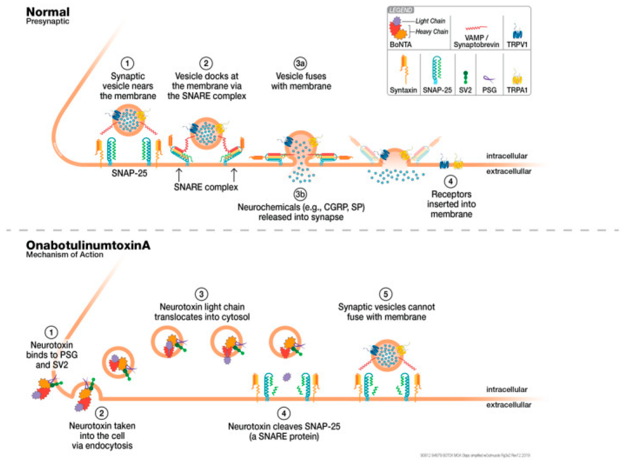 Toxins 17 00355 g002