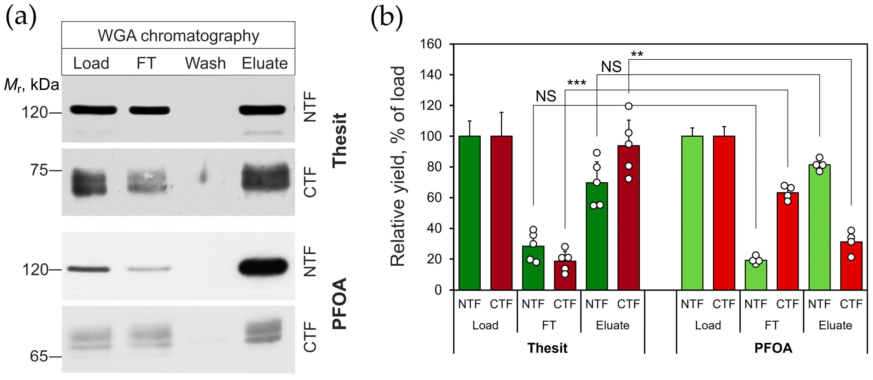 Toxins 17 00359 g003