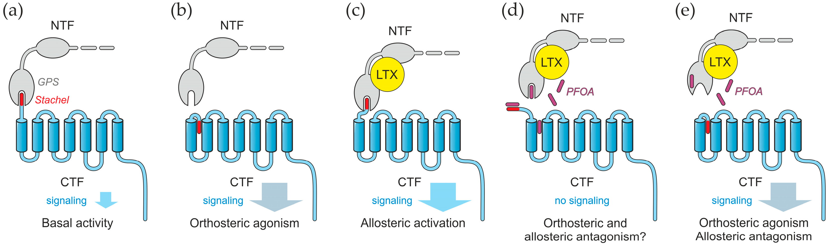 Toxins 17 00359 g008