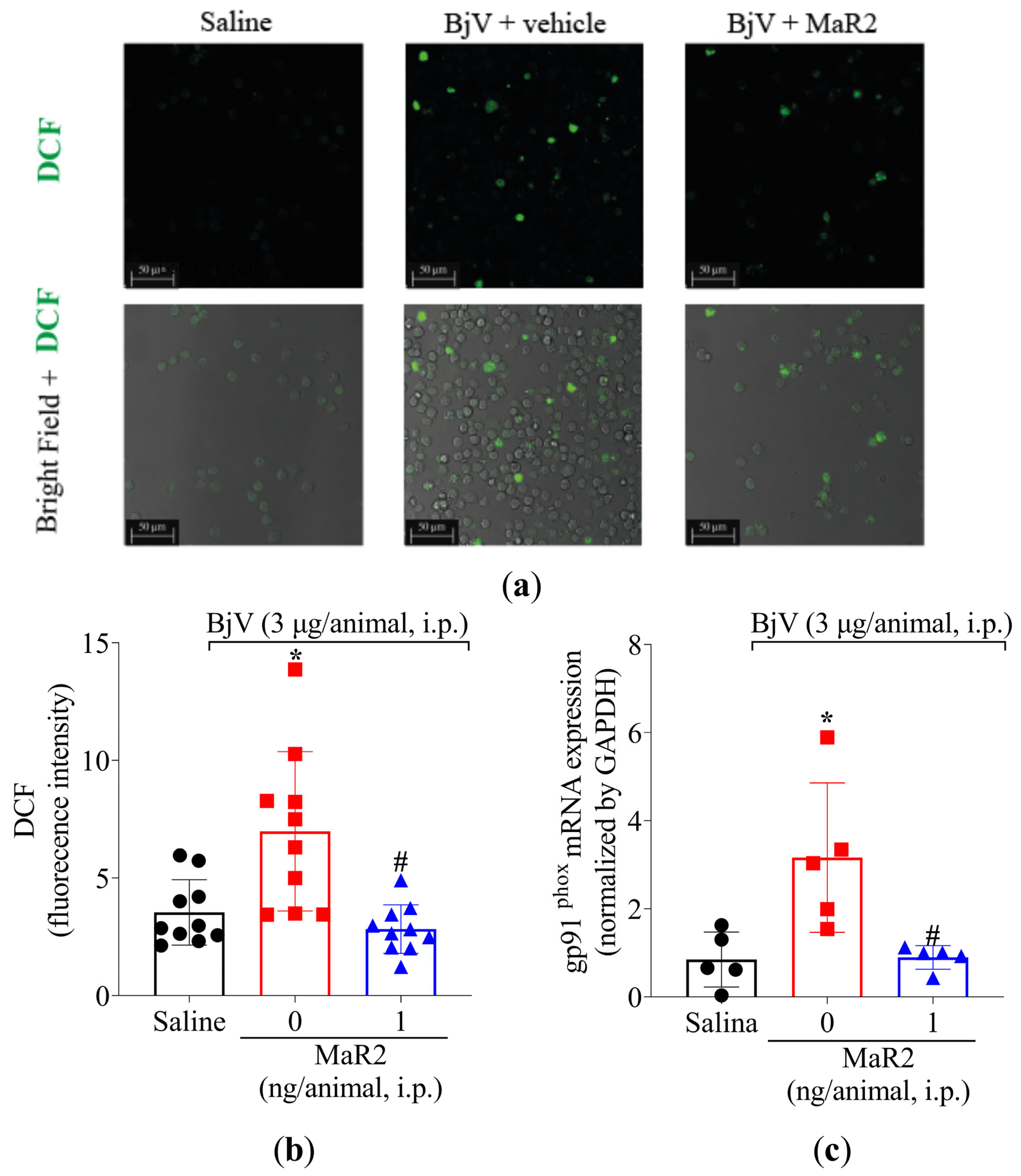 Toxins 17 00367 g009