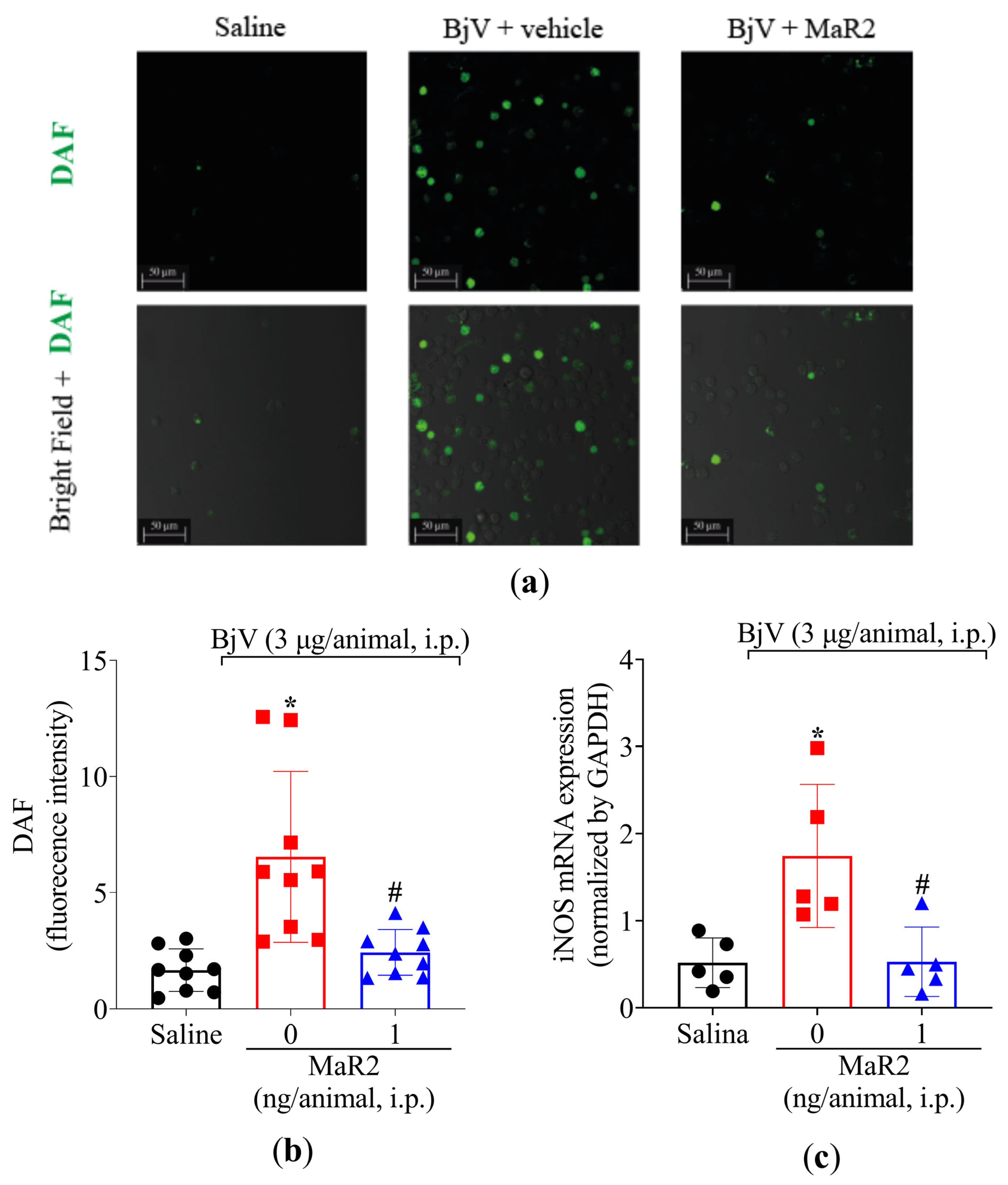 Toxins 17 00367 g010