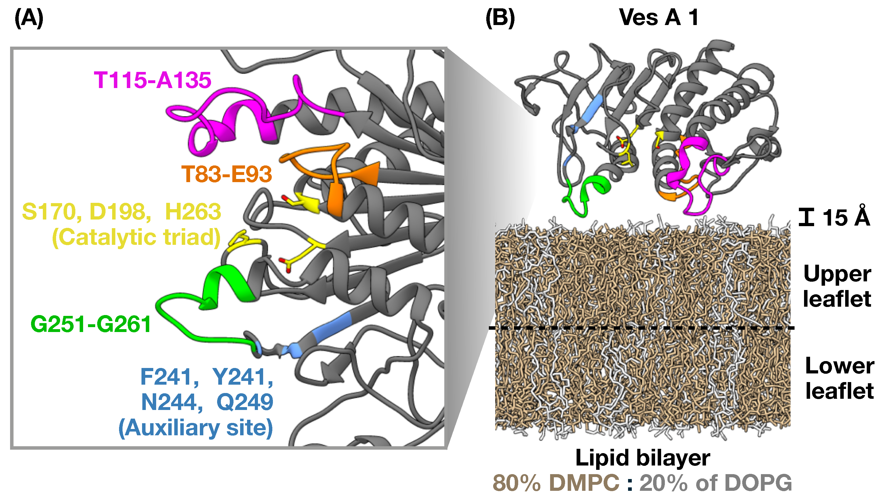 Toxins 17 00387 g001 Toxins 17 00387 g001