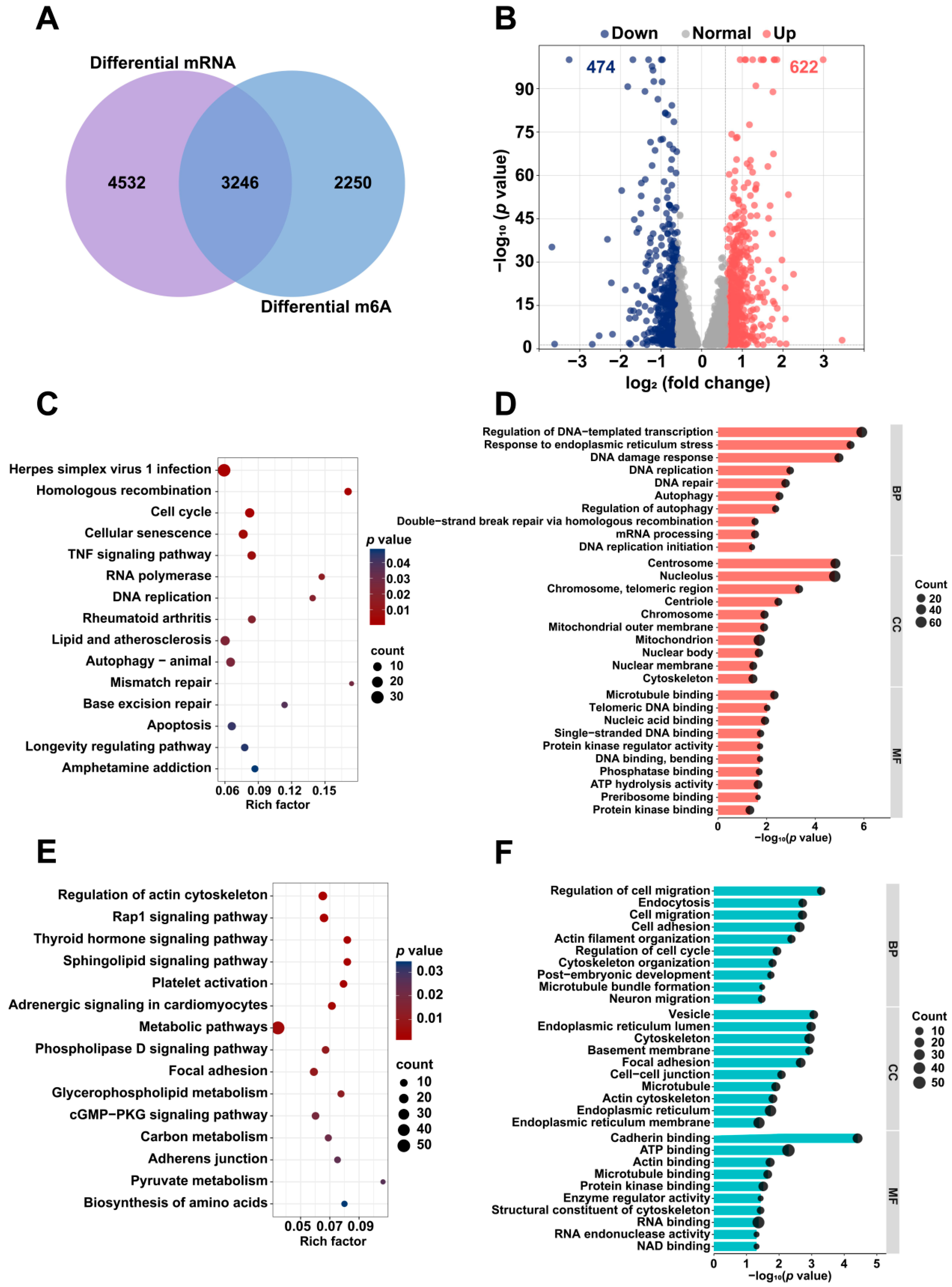 Toxins 17 00408 g006 Toxins 17 00408 g006