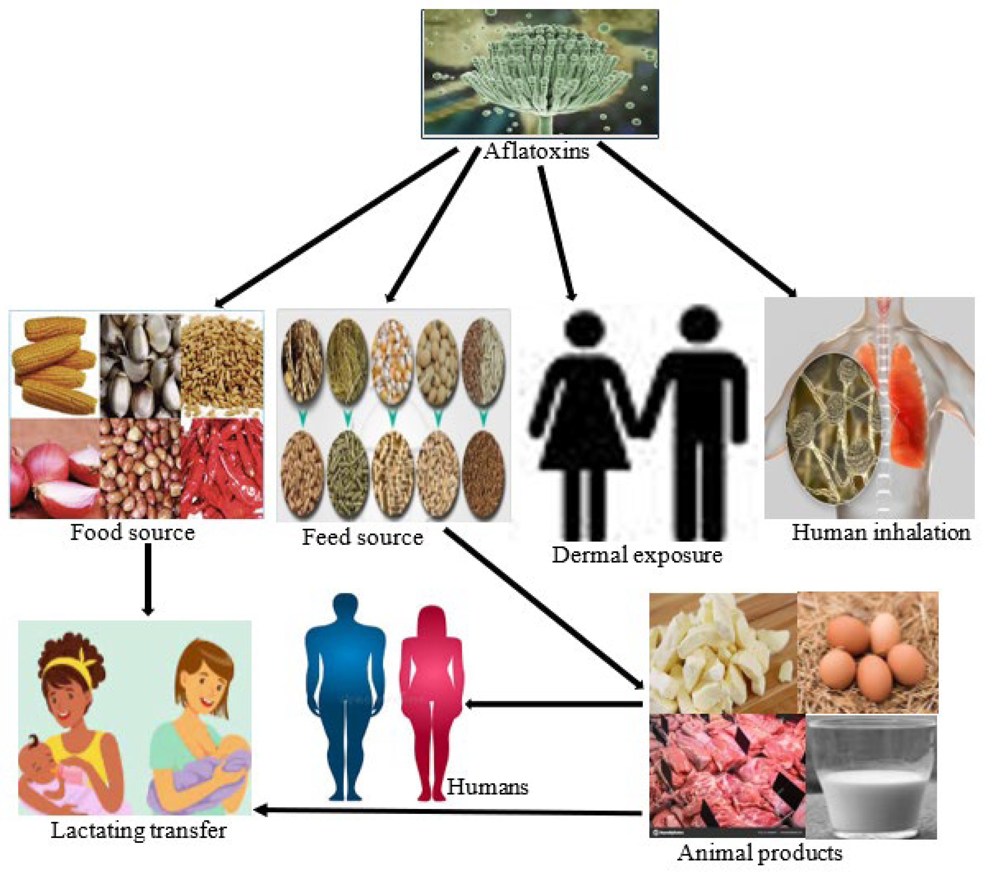 Toxins 17 00414 g001