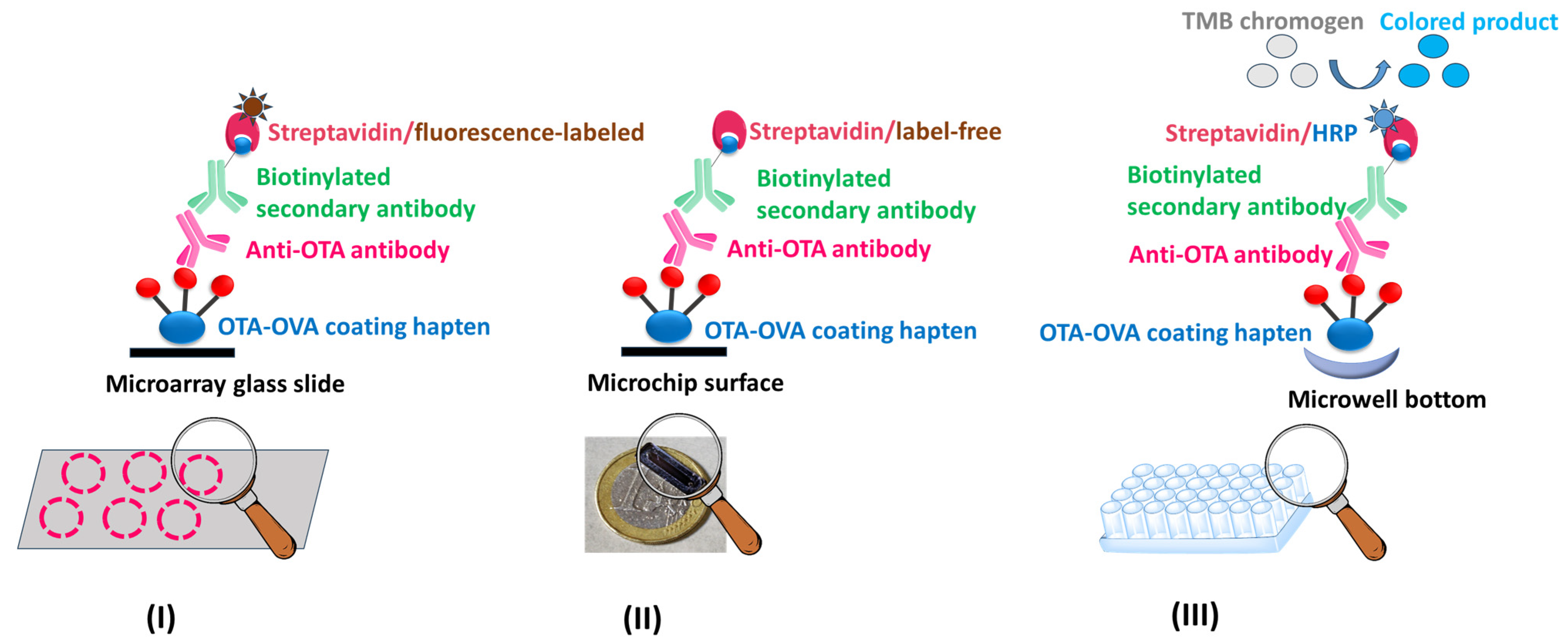 Toxins 17 00415 g007 Toxins 17 00415 g007