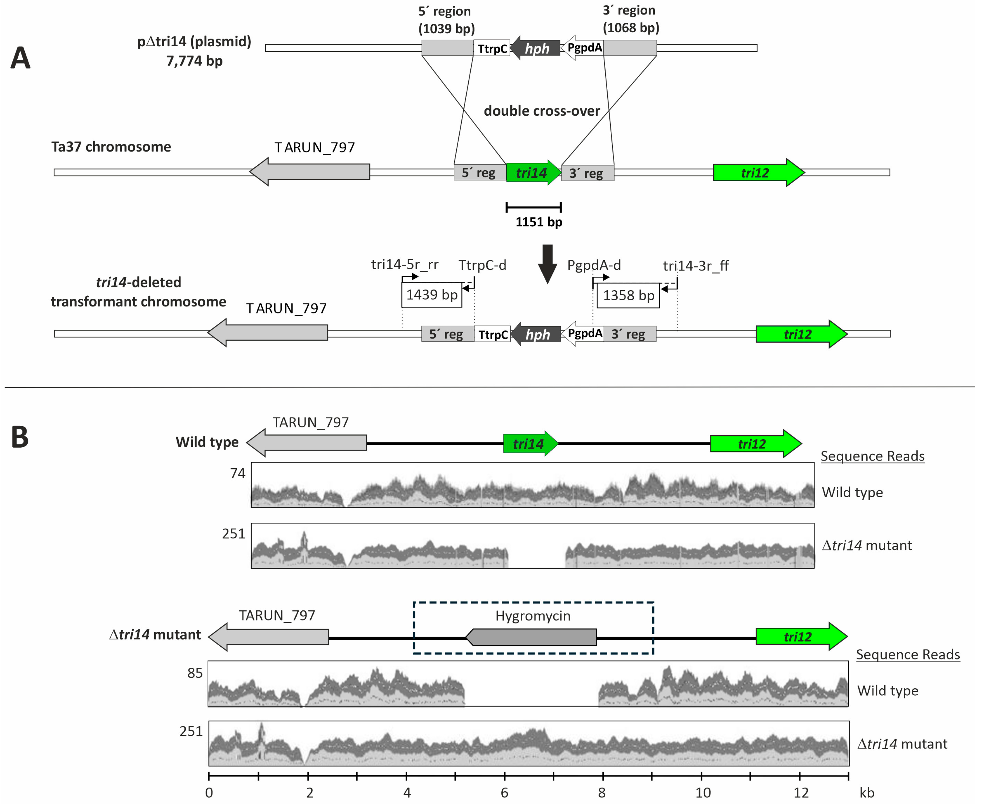 Toxins 17 00427 g002