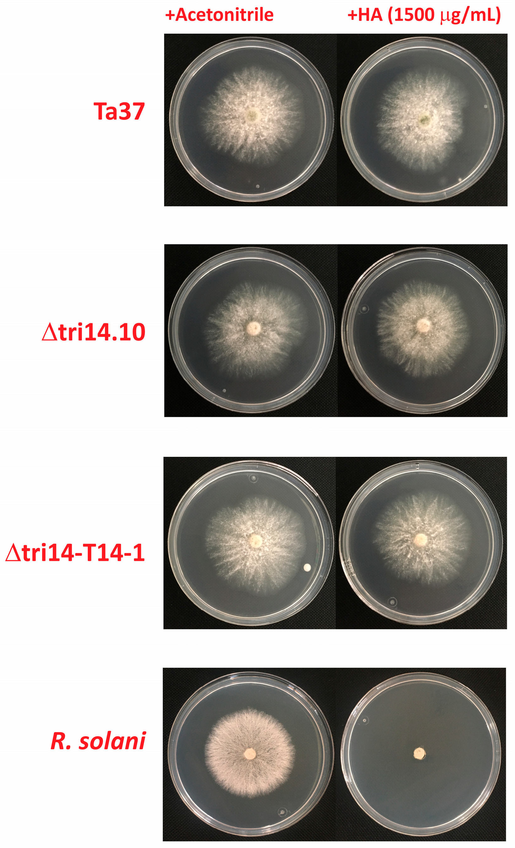 Toxins 17 00427 g006