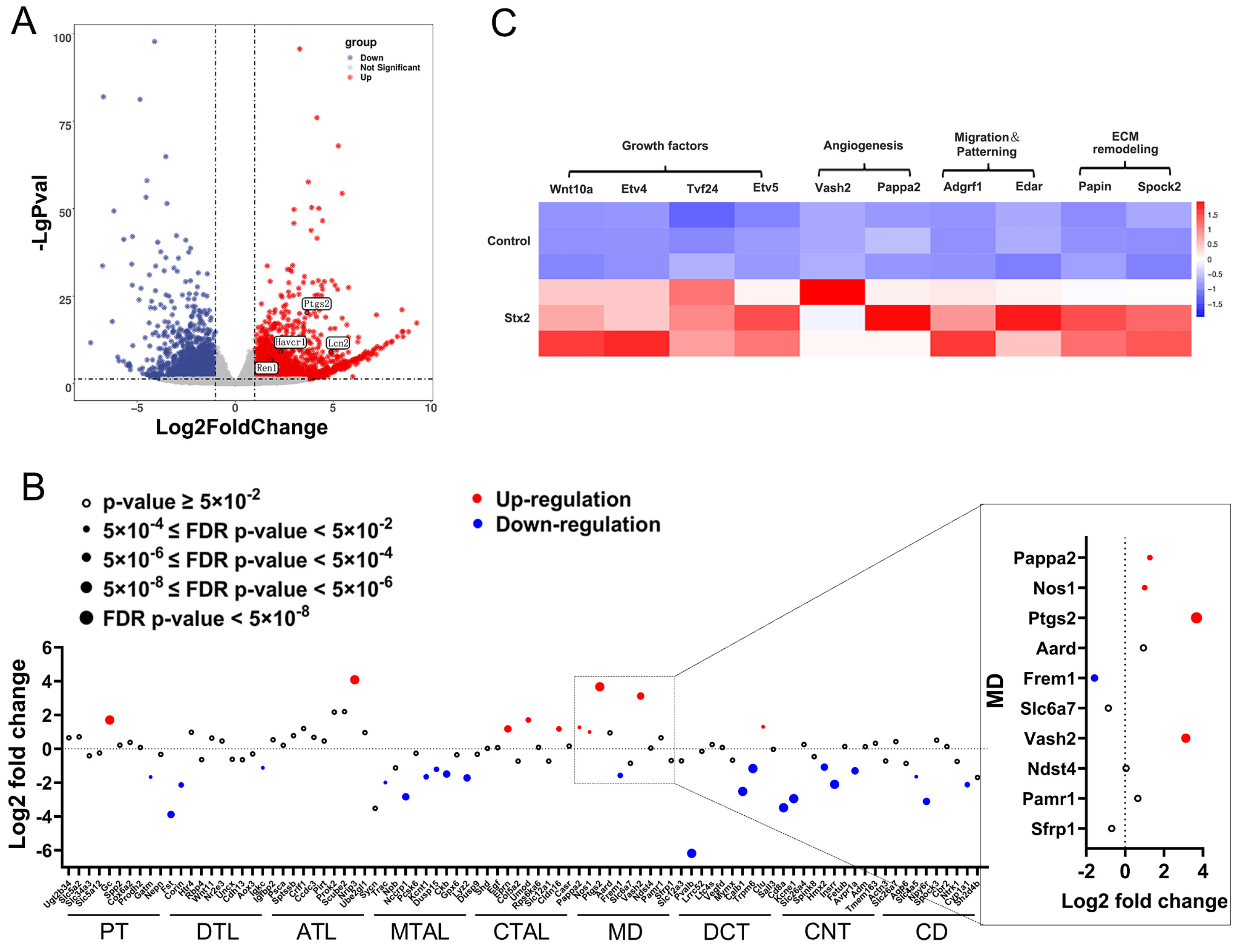 Toxins 17 00470 g001