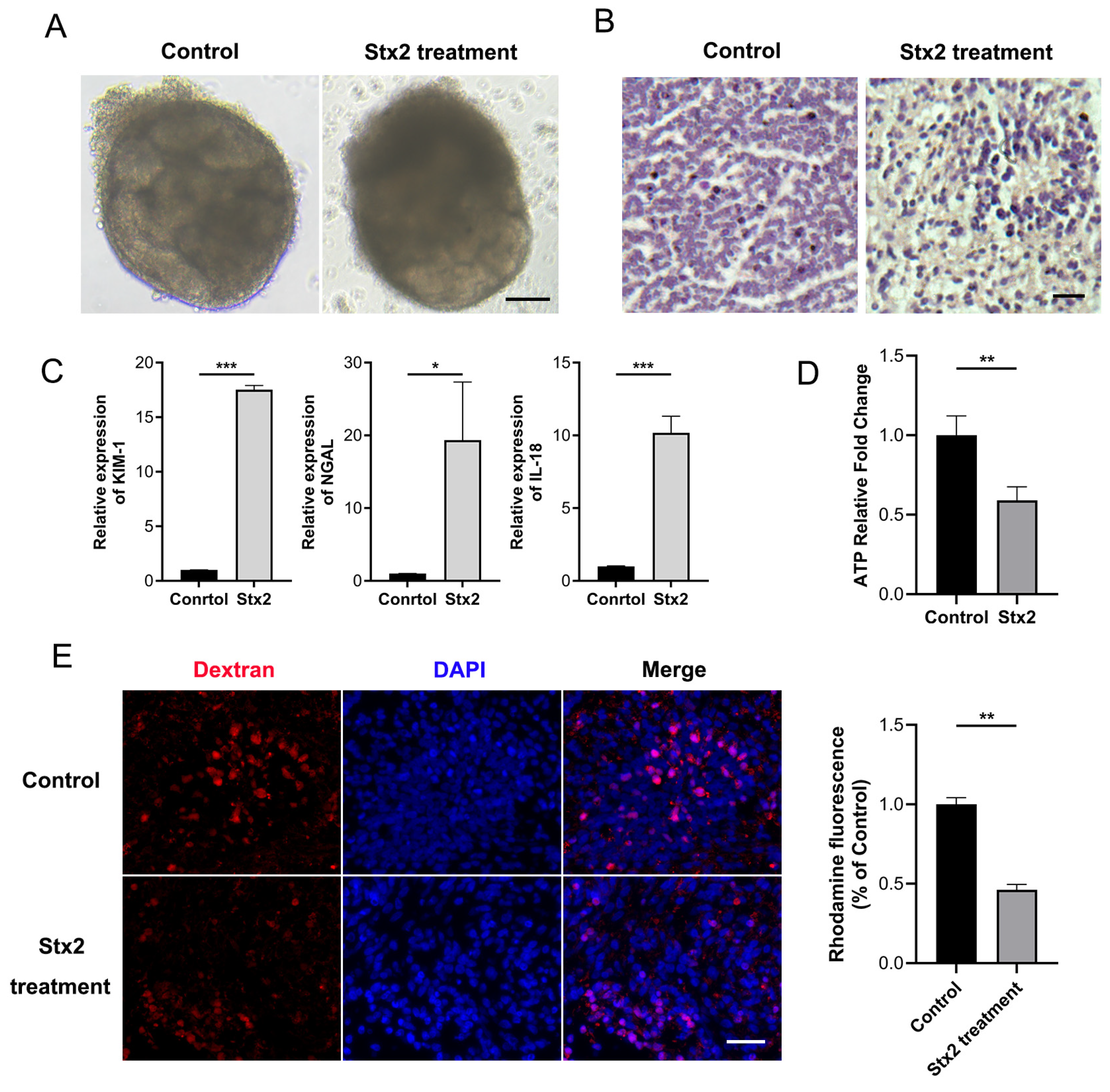 Toxins 17 00470 g002