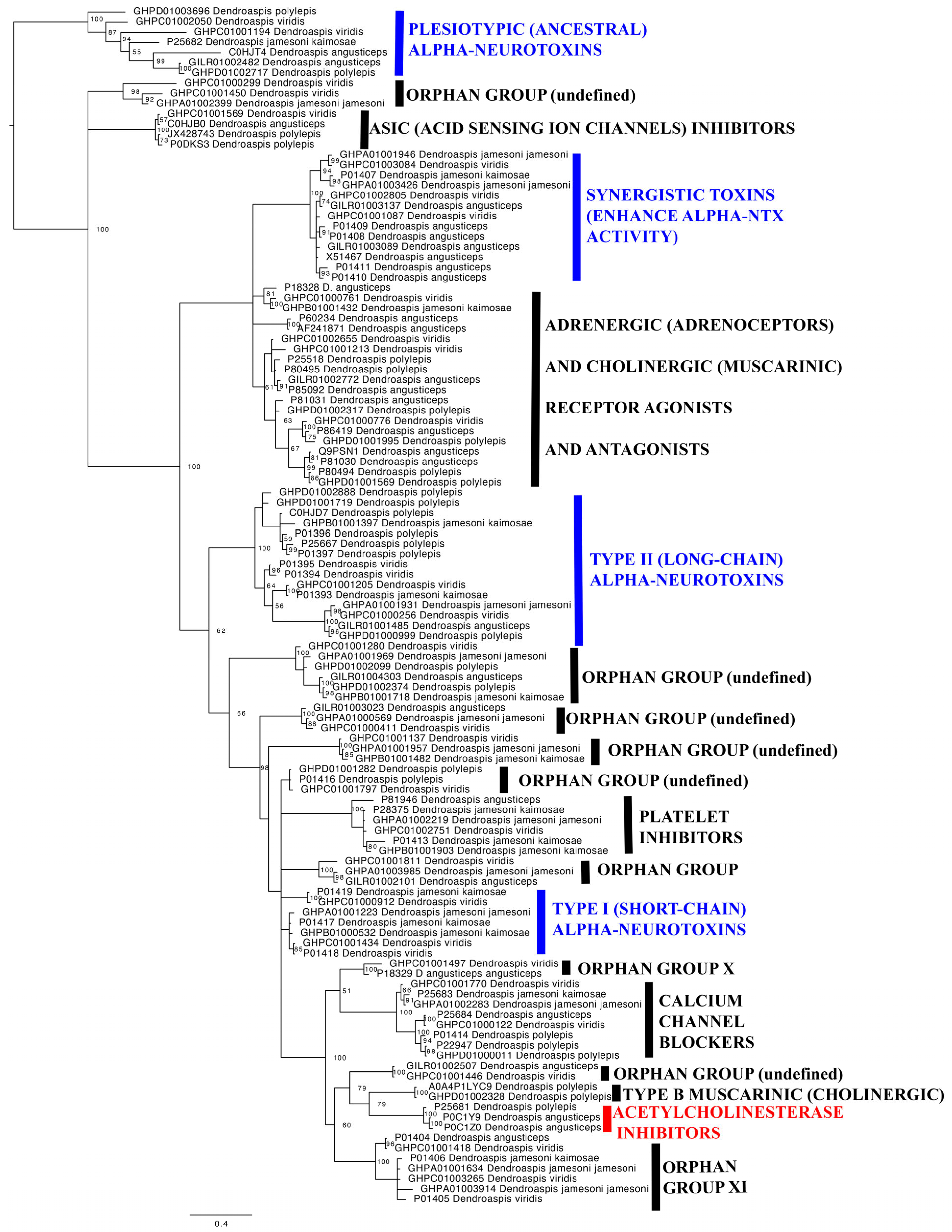 Toxins 17 00481 g003 Toxins 17 00481 g003