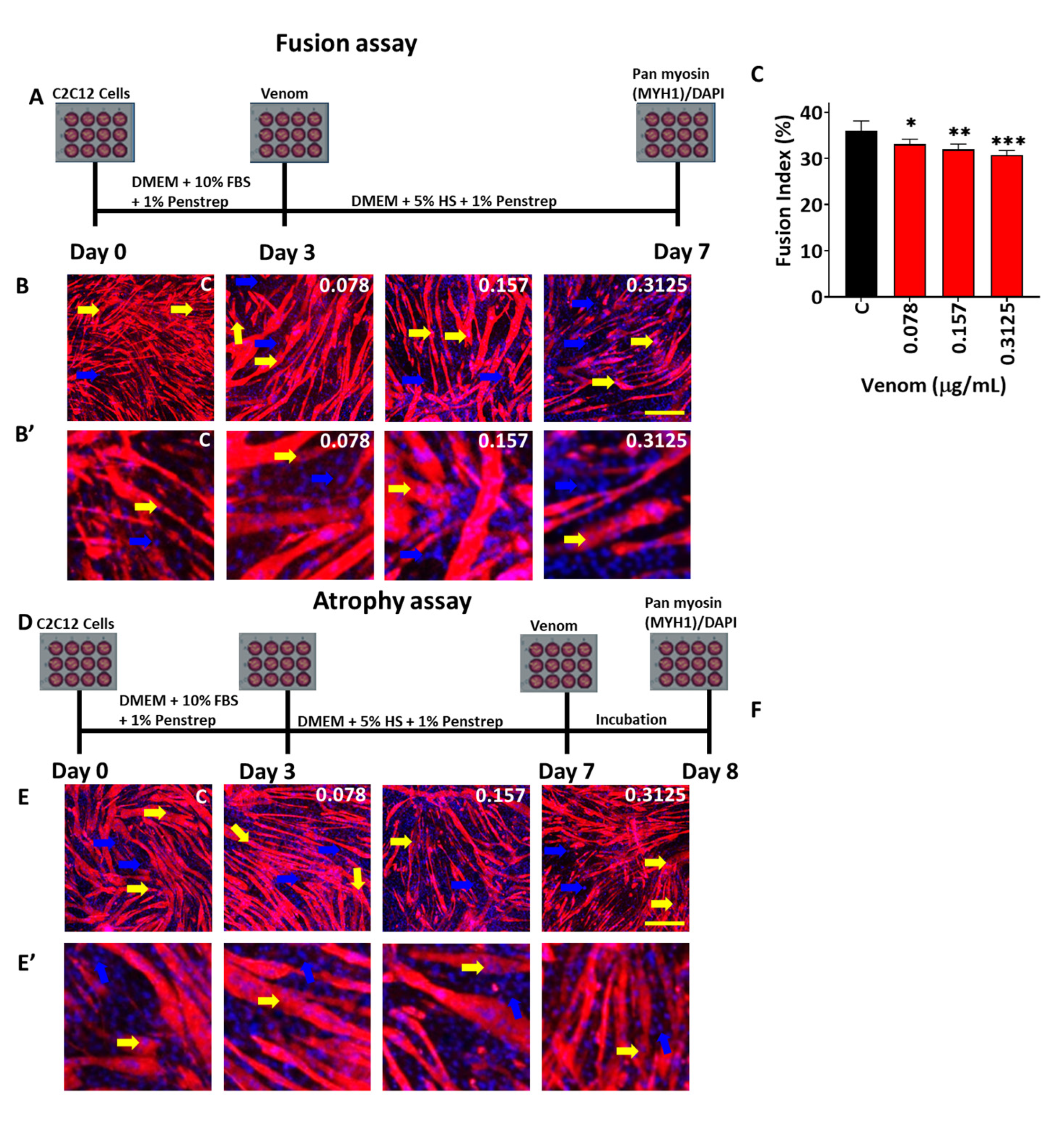 Toxins 17 00496 g003