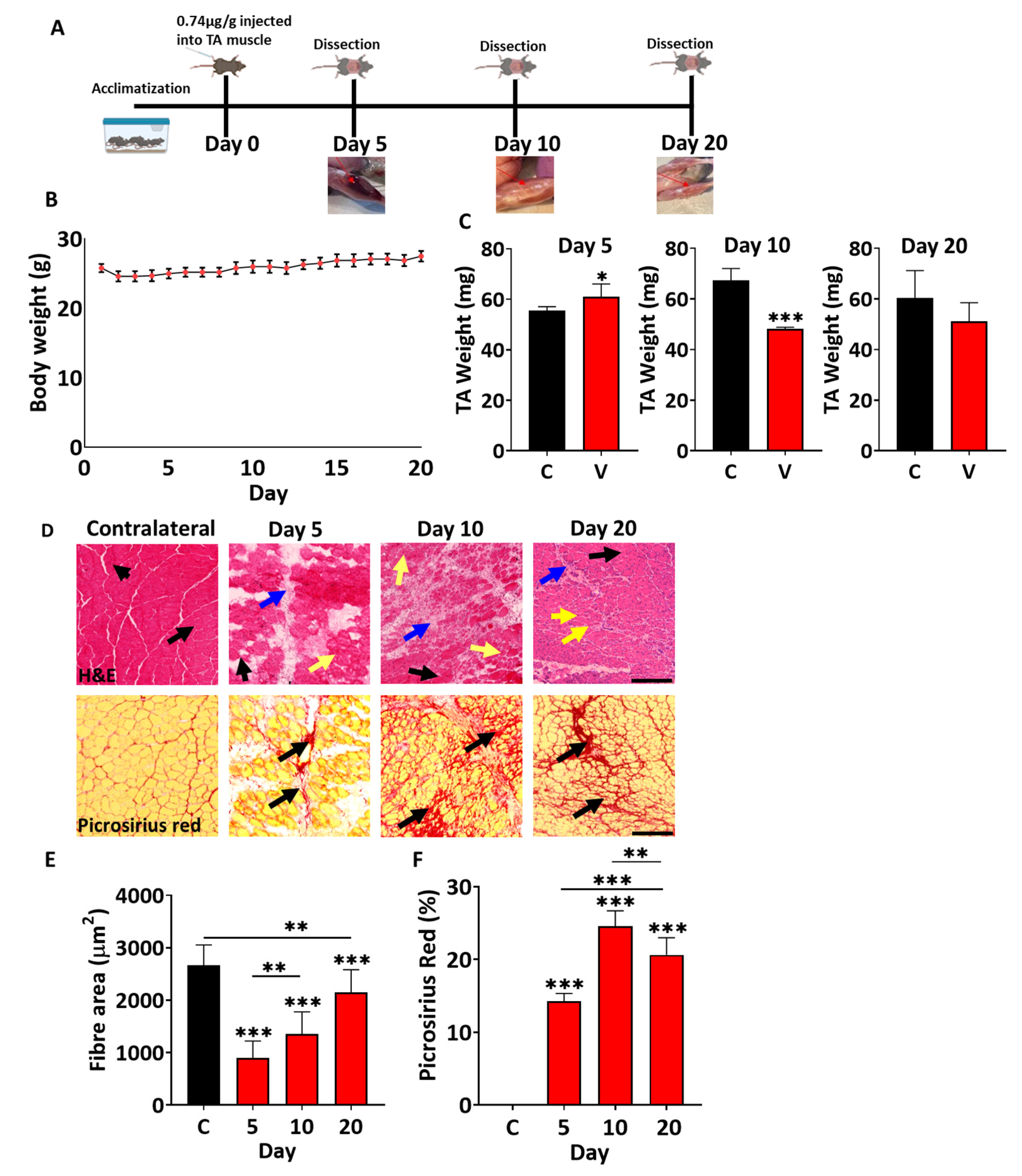 Toxins 17 00496 g004