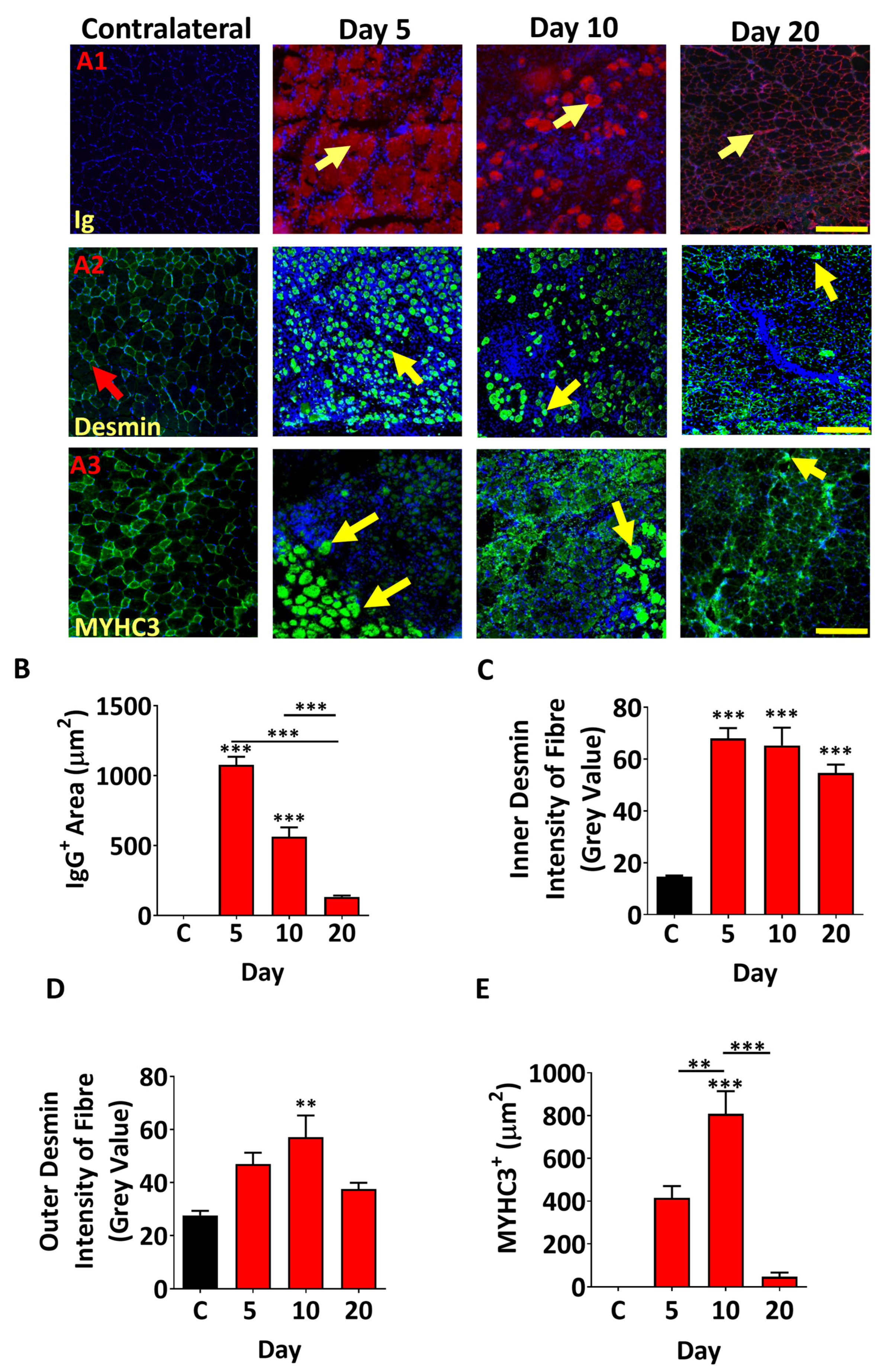 Toxins 17 00496 g005