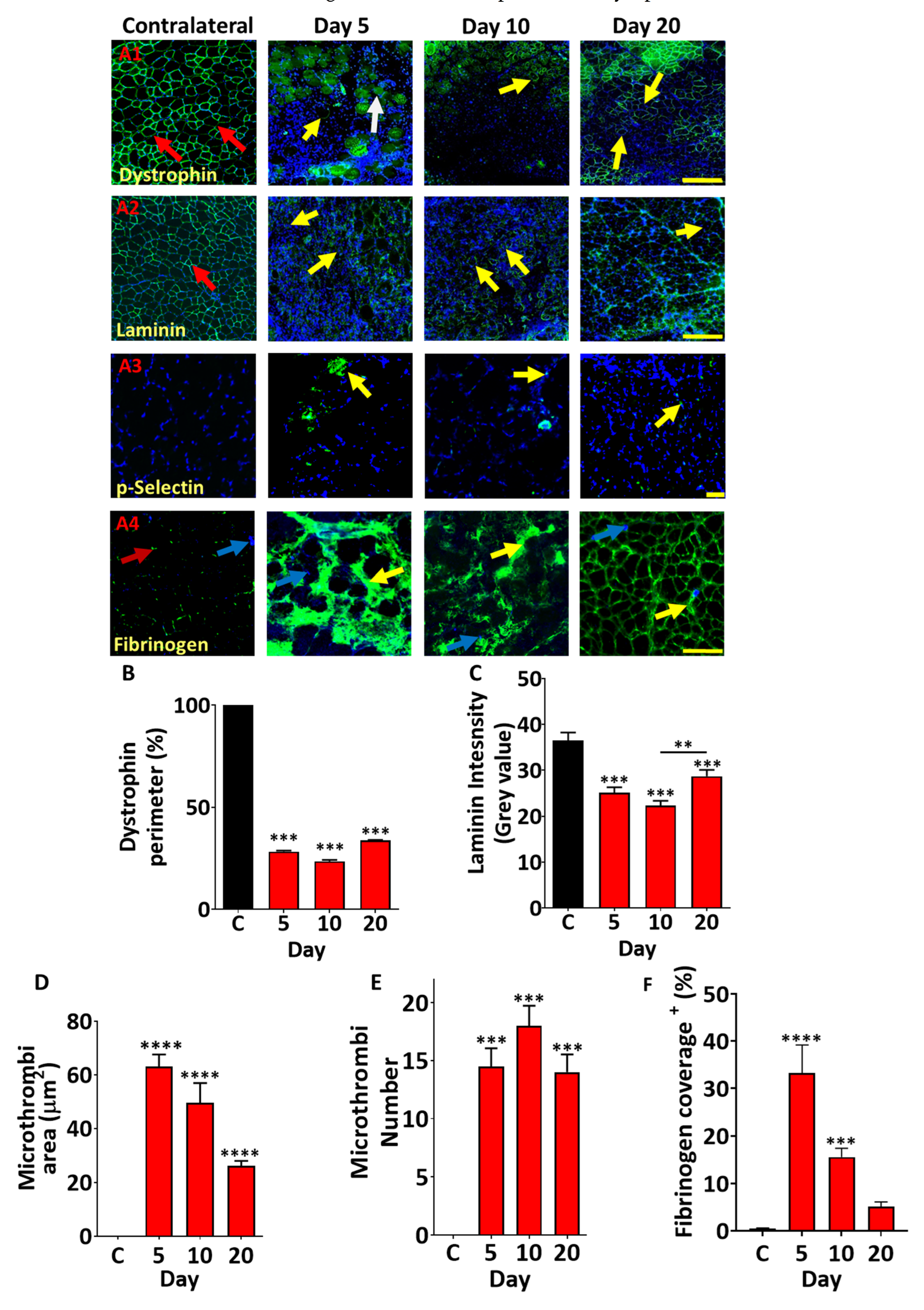 Toxins 17 00496 g006