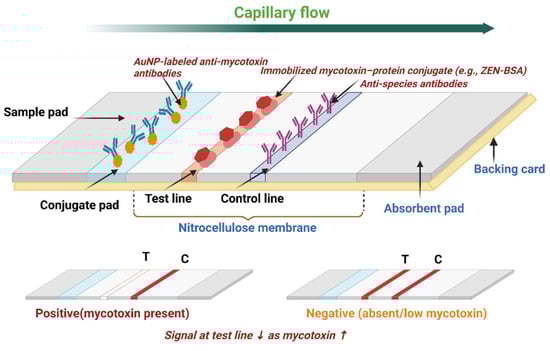 Toxins 17 00505 g001