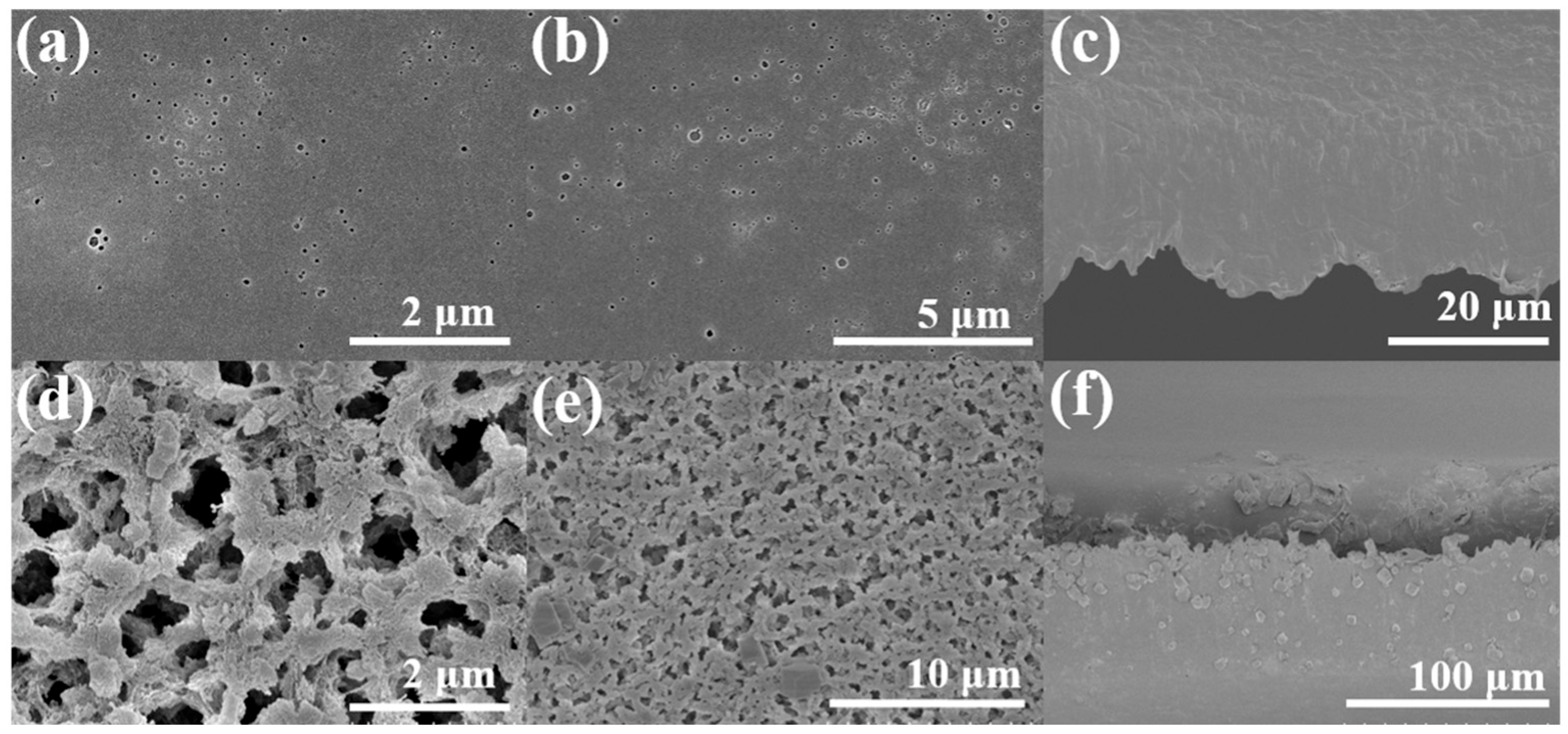 Toxins 17 00516 g002
