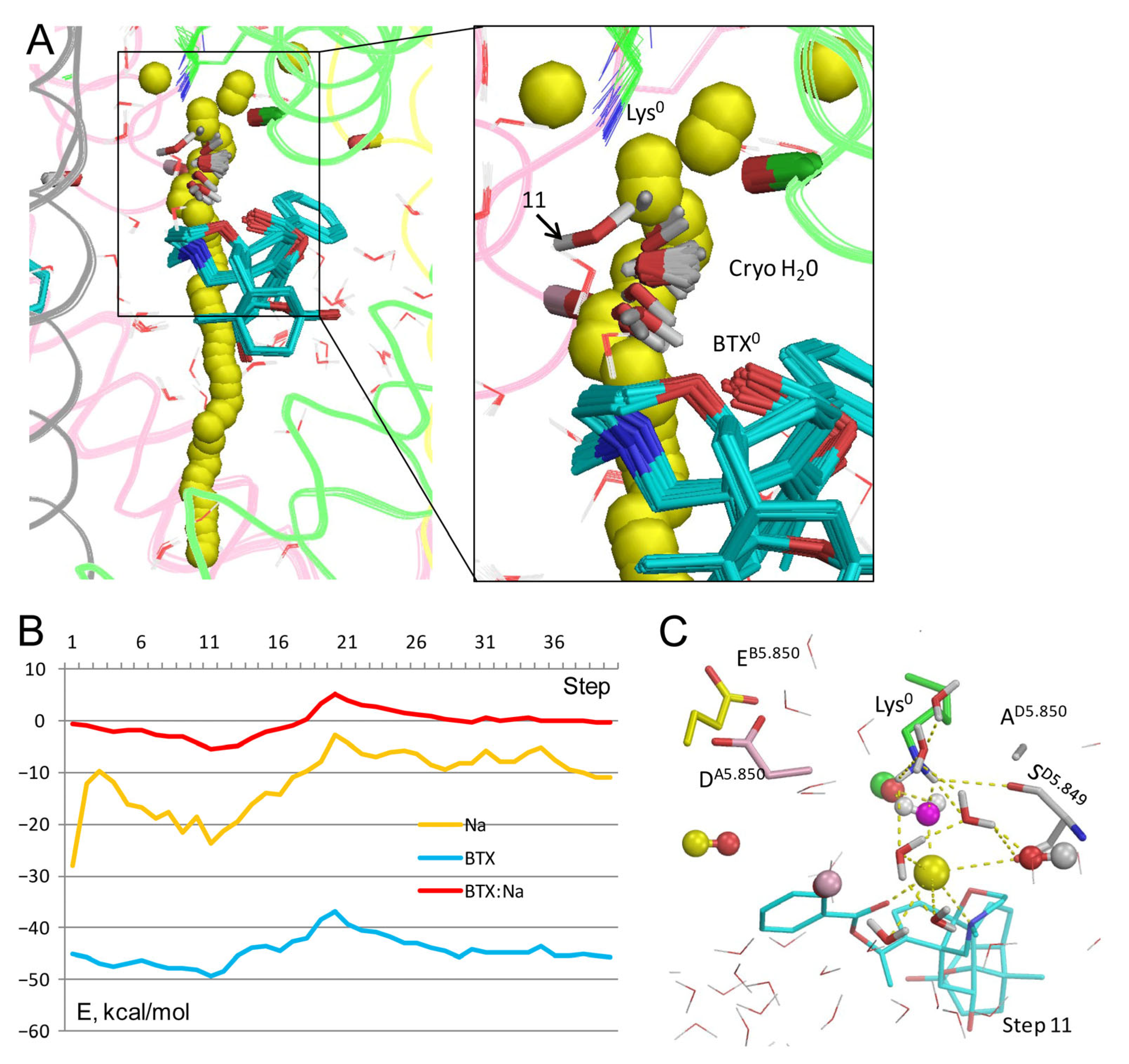 Toxins 17 00520 g003 Toxins 17 00520 g003