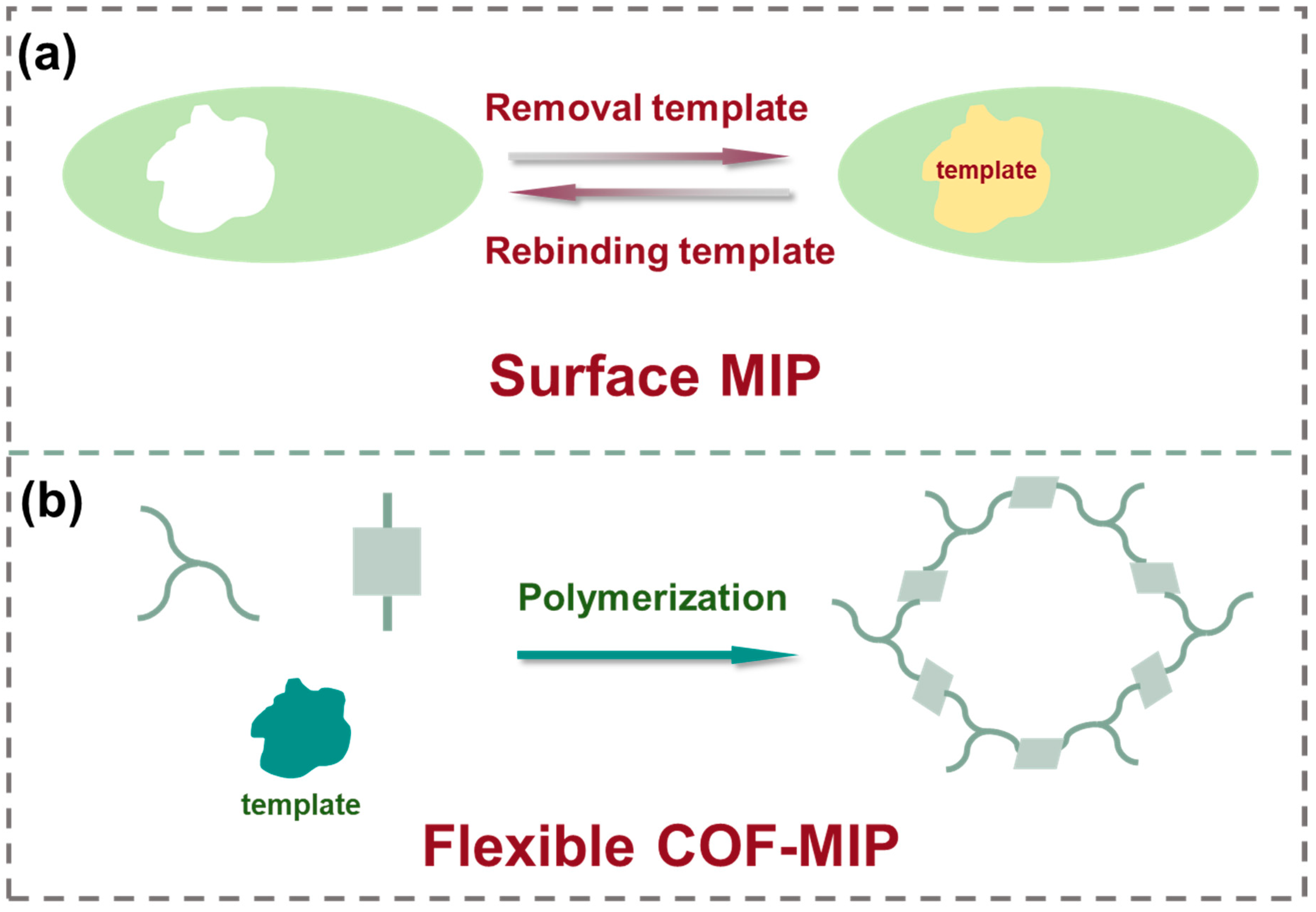 Toxins 17 00556 g003