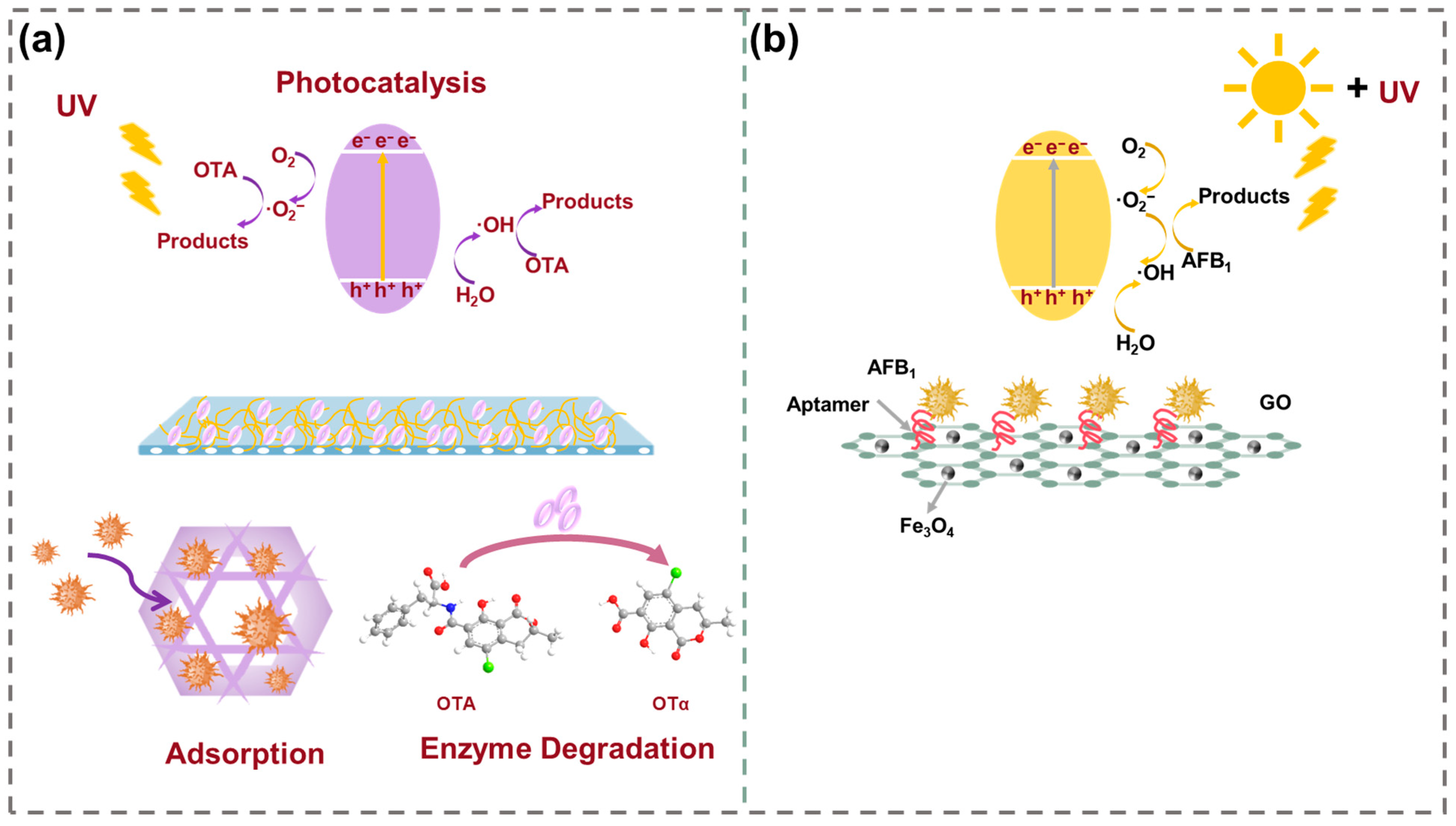 Toxins 17 00556 g004