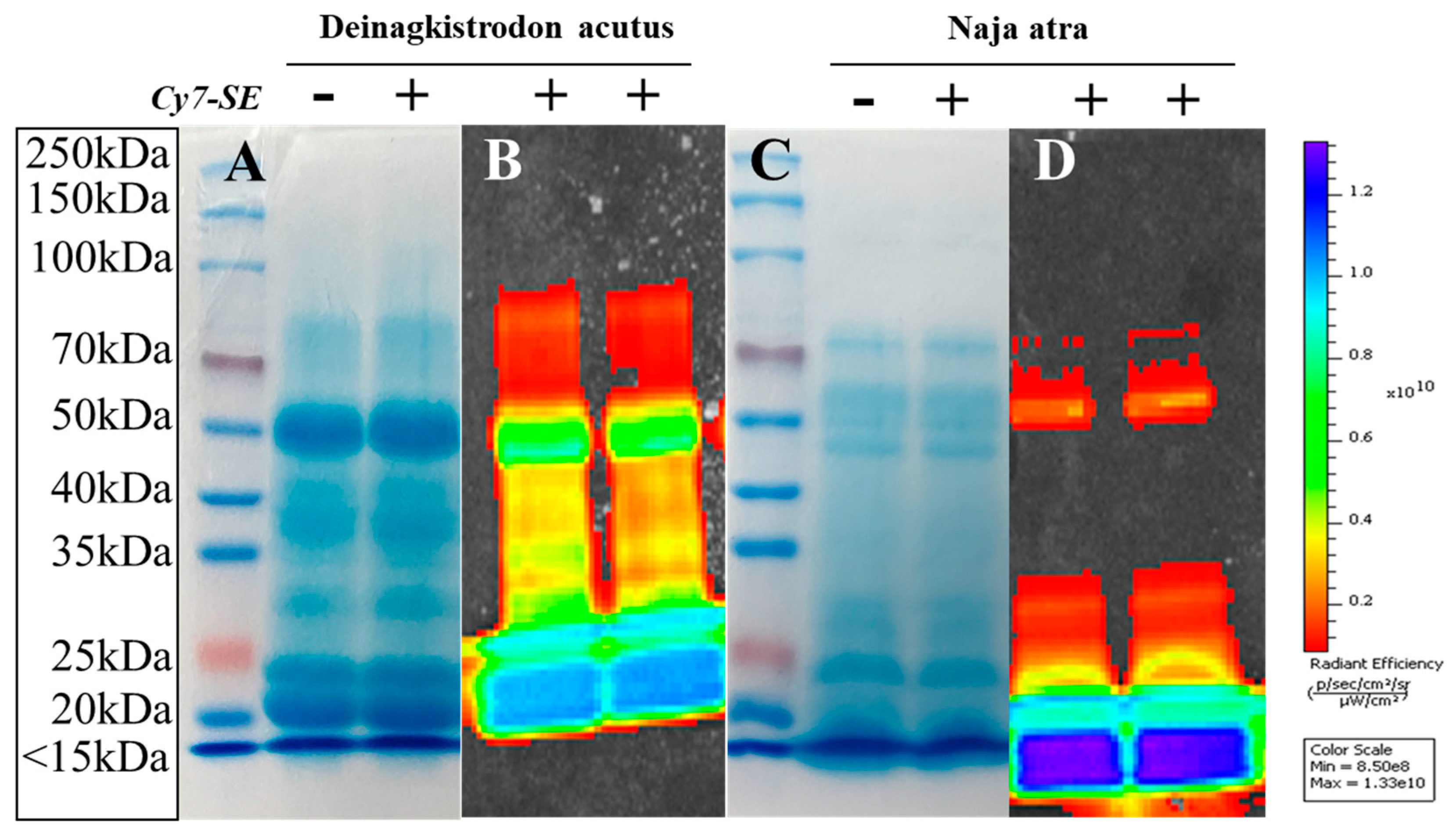 Toxins 17 00559 g004 Toxins 17 00559 g004