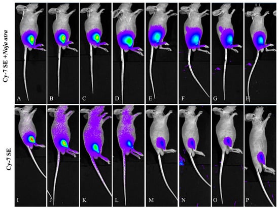 Toxins 17 00559 g006