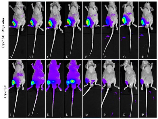 Toxins 17 00559 g008